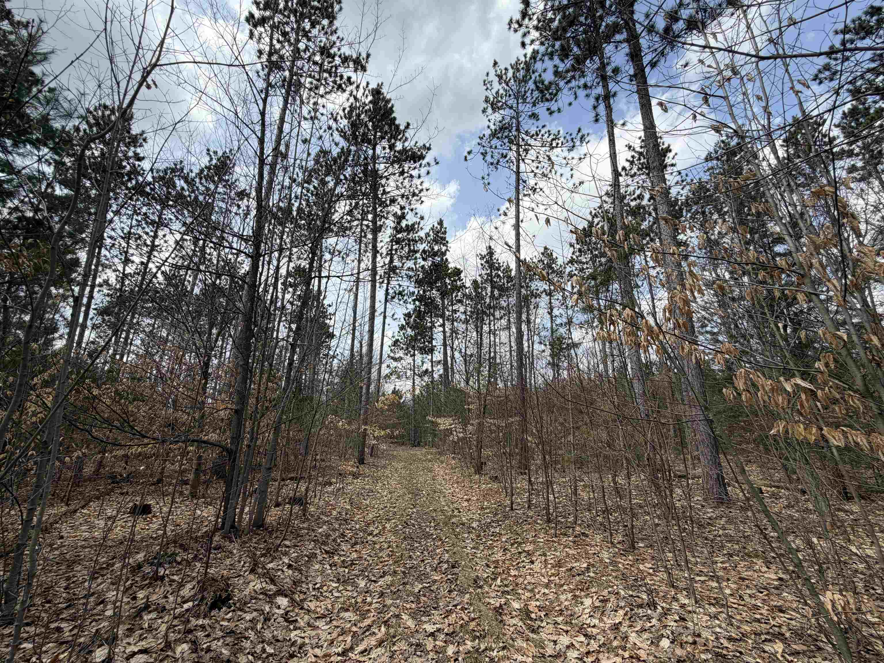 Hoosier Valley Road, Traverse City, MI, 49685