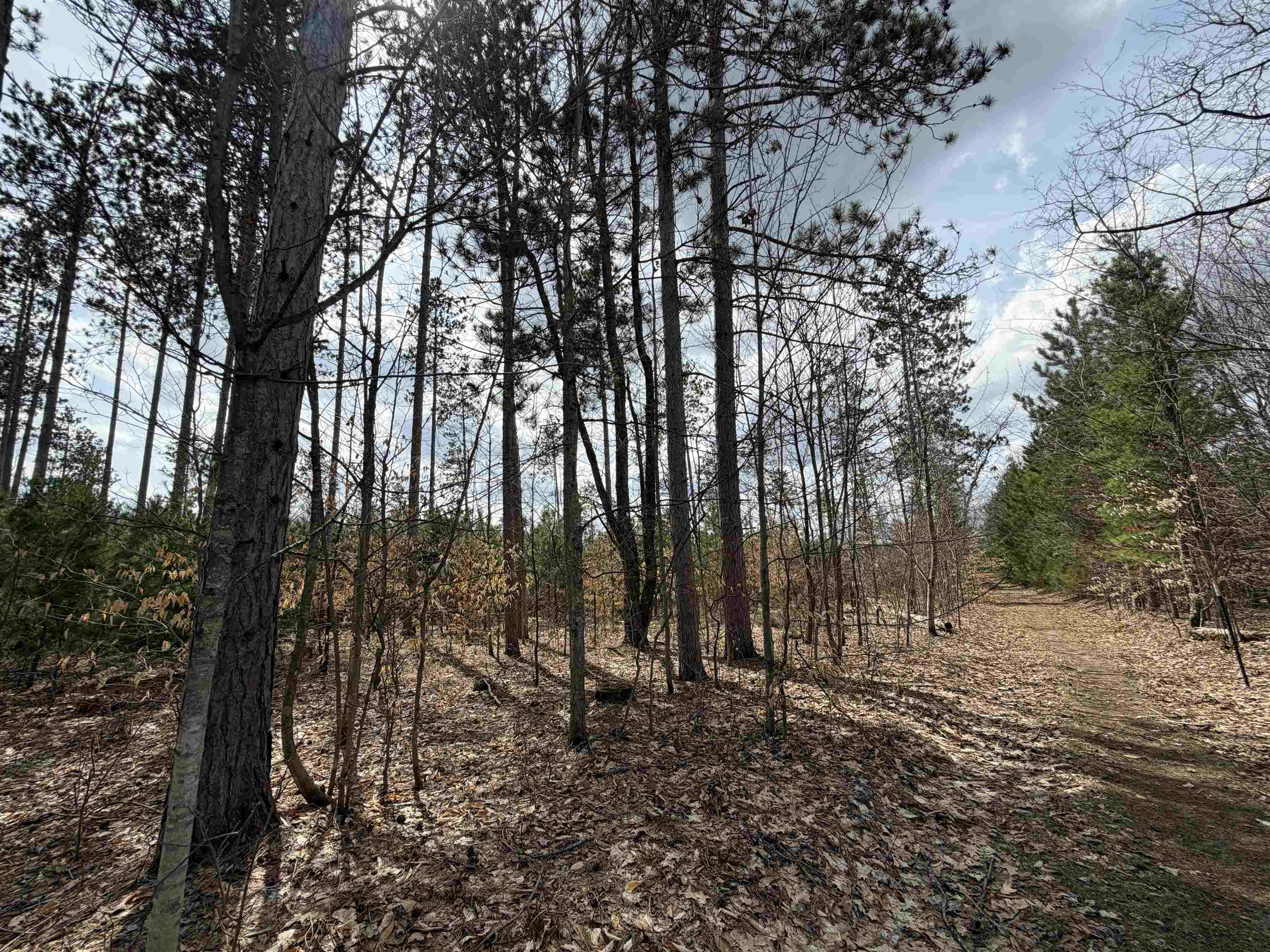 Hoosier Valley Road, Traverse City, MI, 49685
