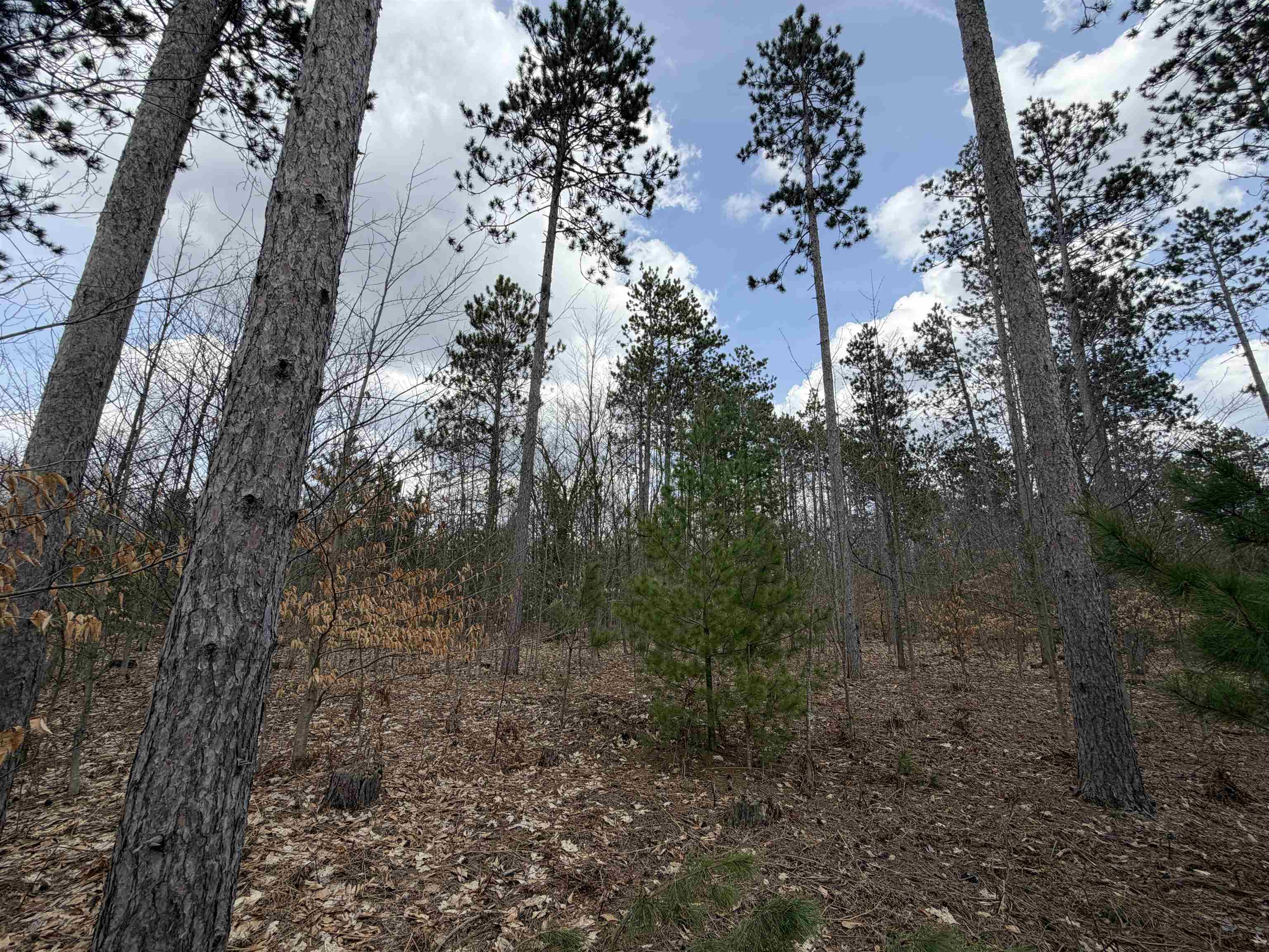 Hoosier Valley Road, Traverse City, MI, 49685