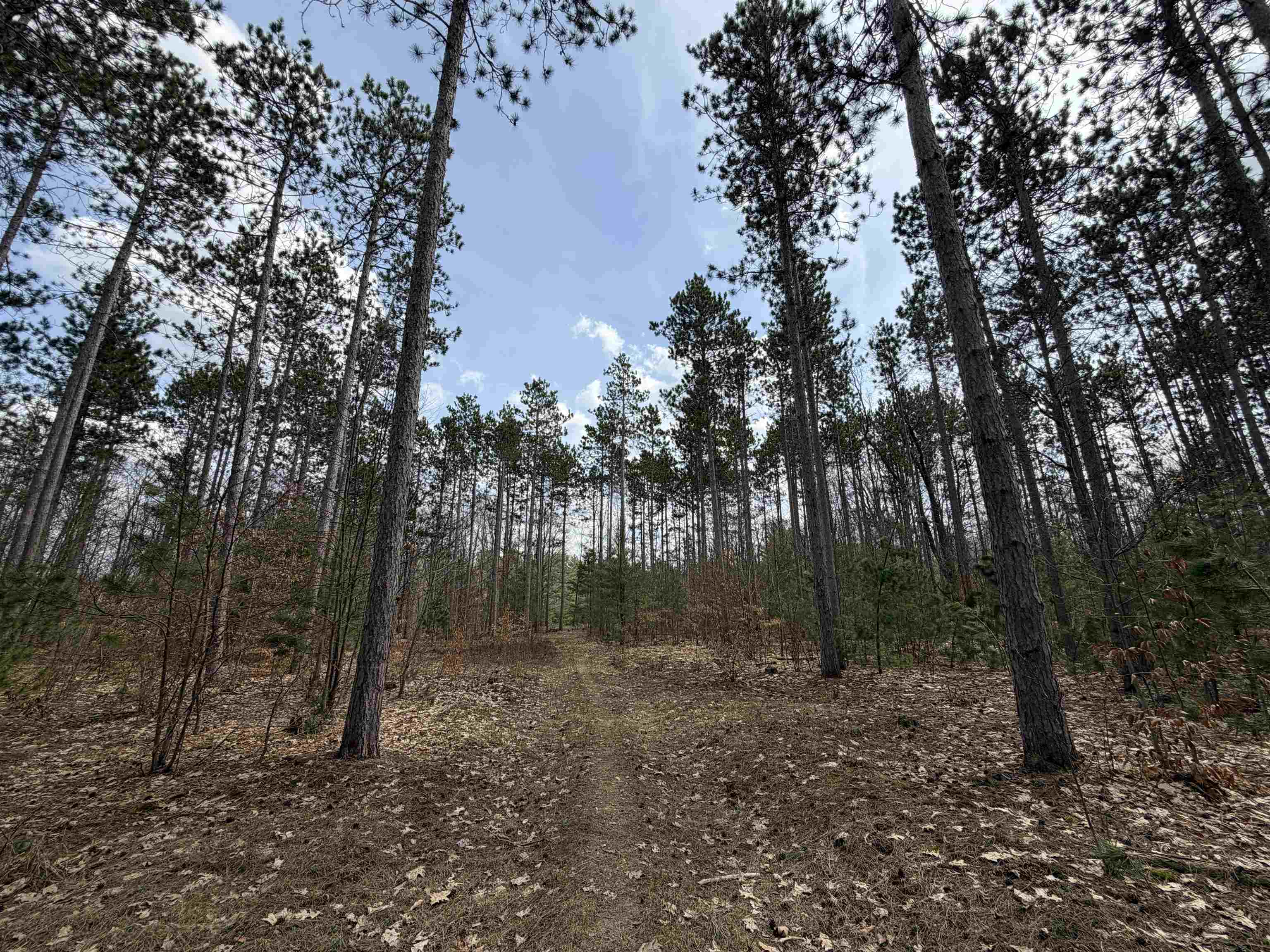 Hoosier Valley Road, Traverse City, MI, 49685