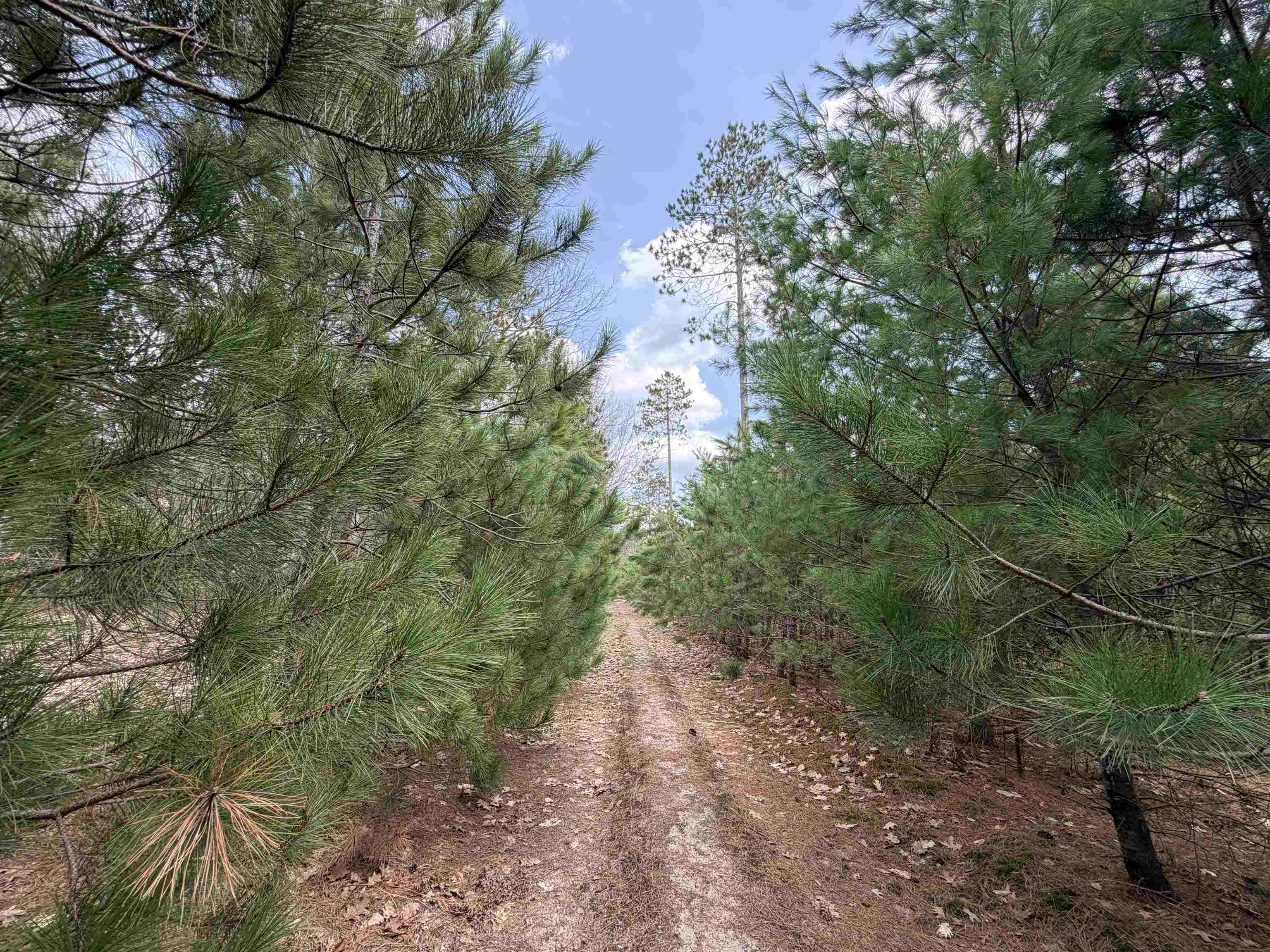 Hoosier Valley Road, Traverse City, MI, 49685