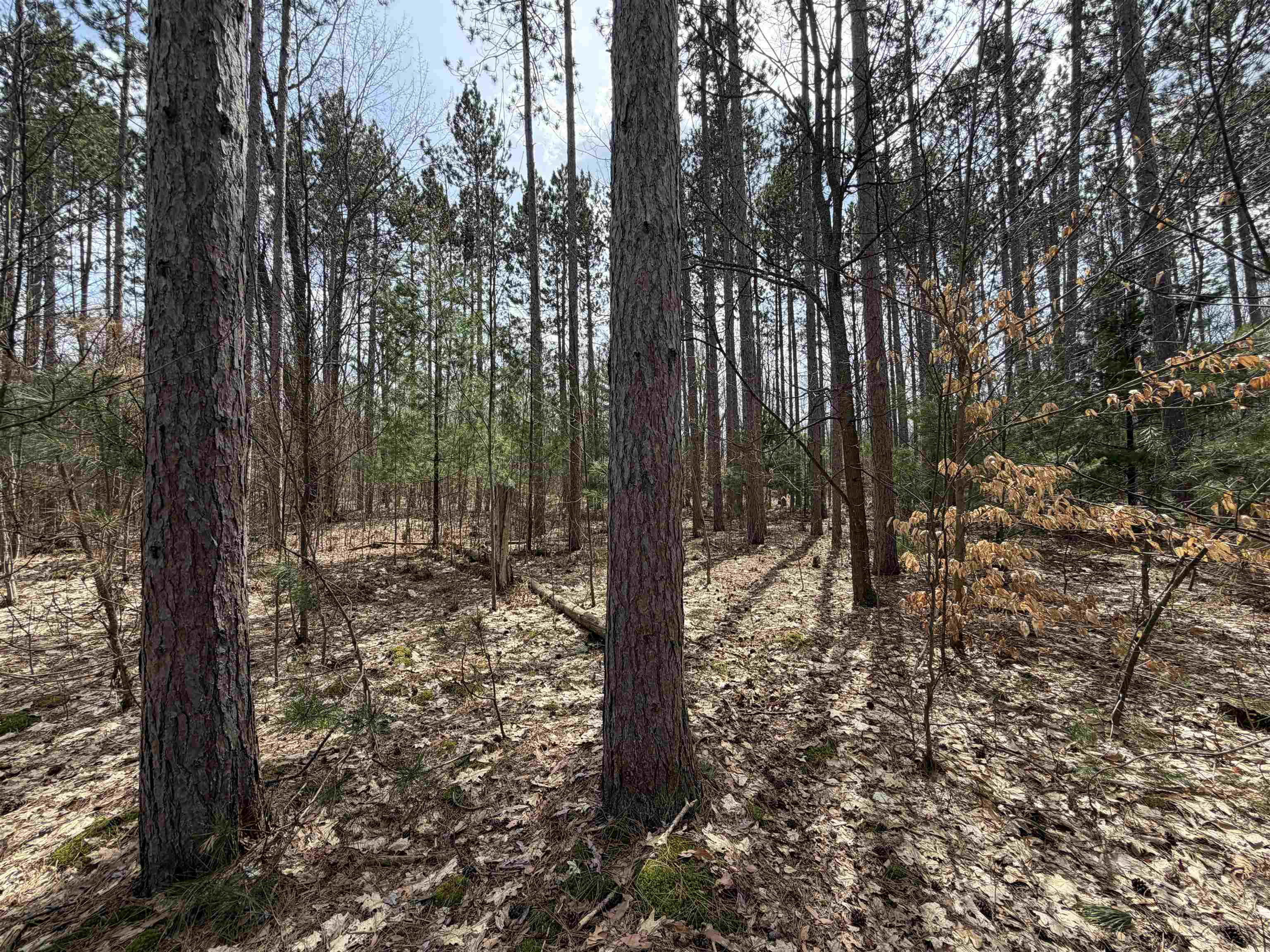 Hoosier Valley Road, Traverse City, MI, 49685
