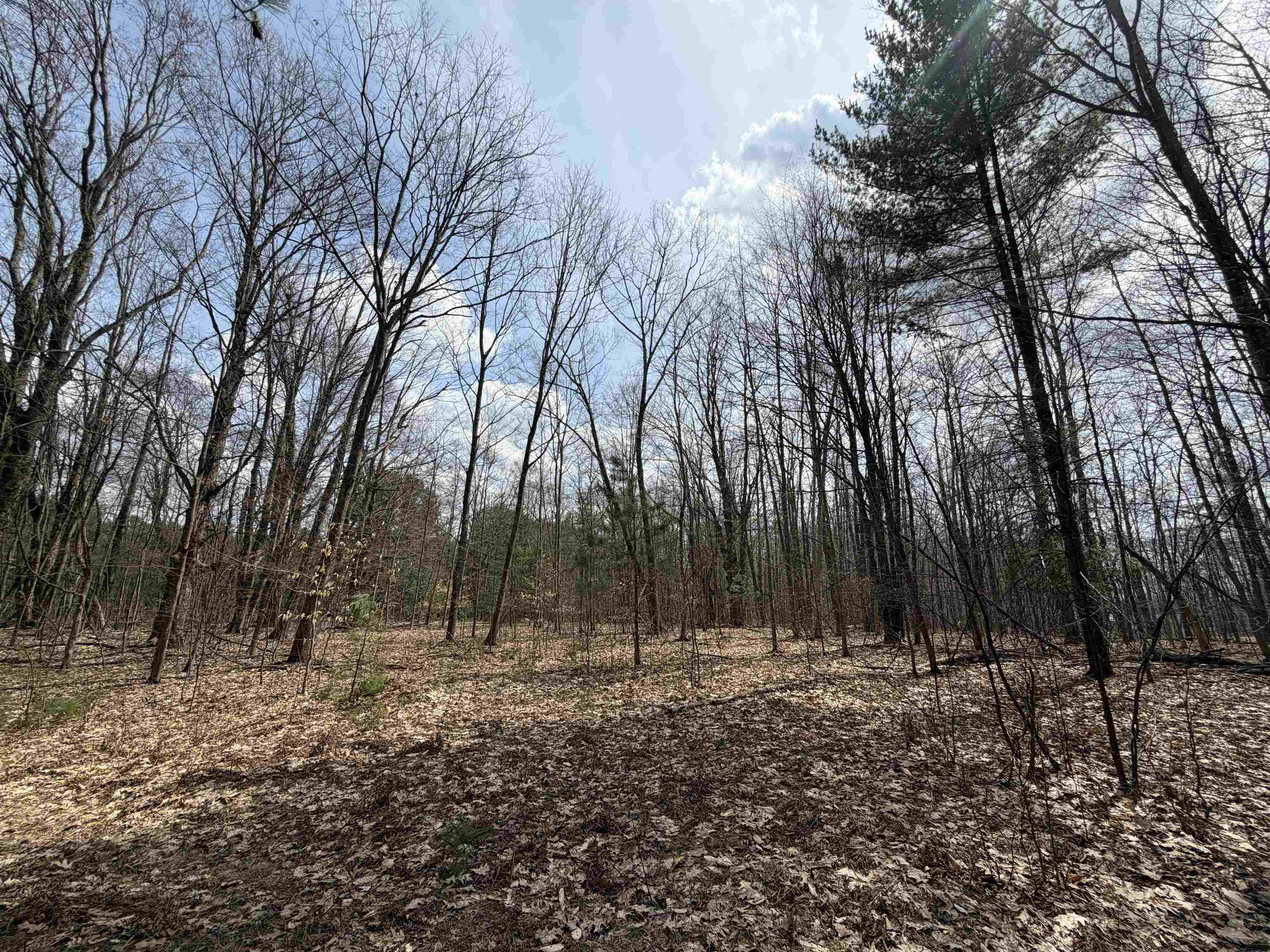 Hoosier Valley Road, Traverse City, MI, 49685