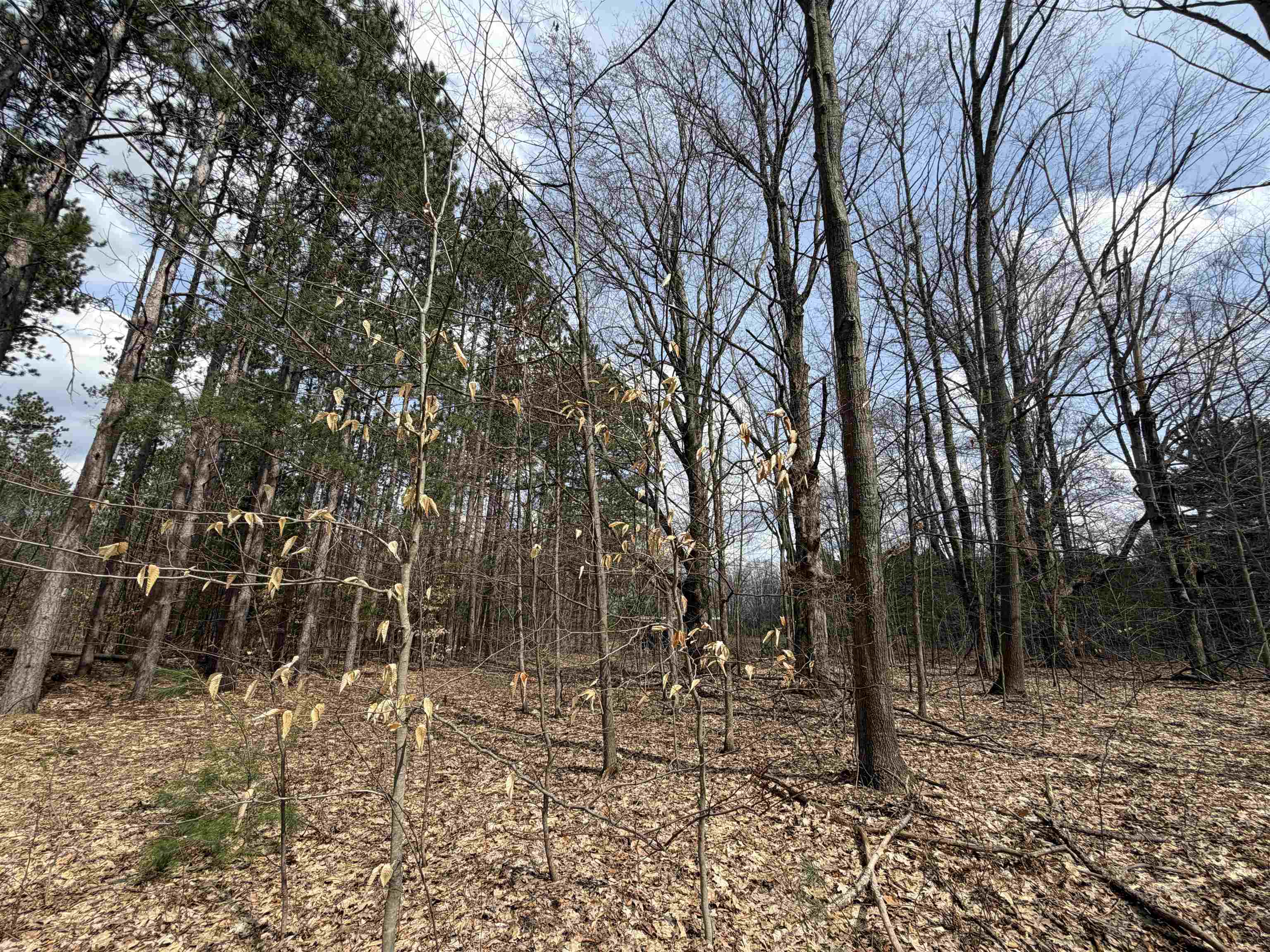 Hoosier Valley Road, Traverse City, MI, 49685