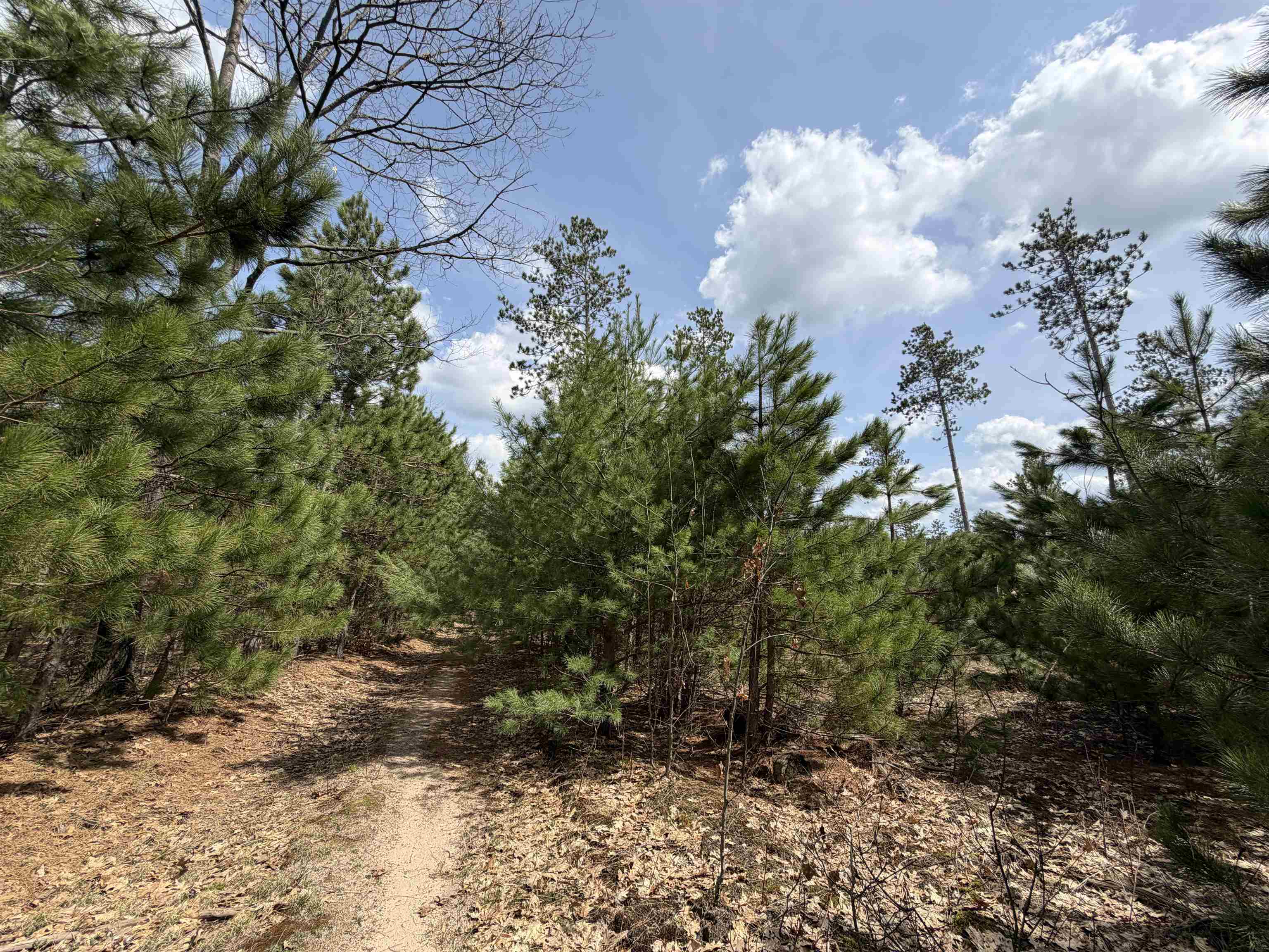 Hoosier Valley Road, Traverse City, MI, 49685