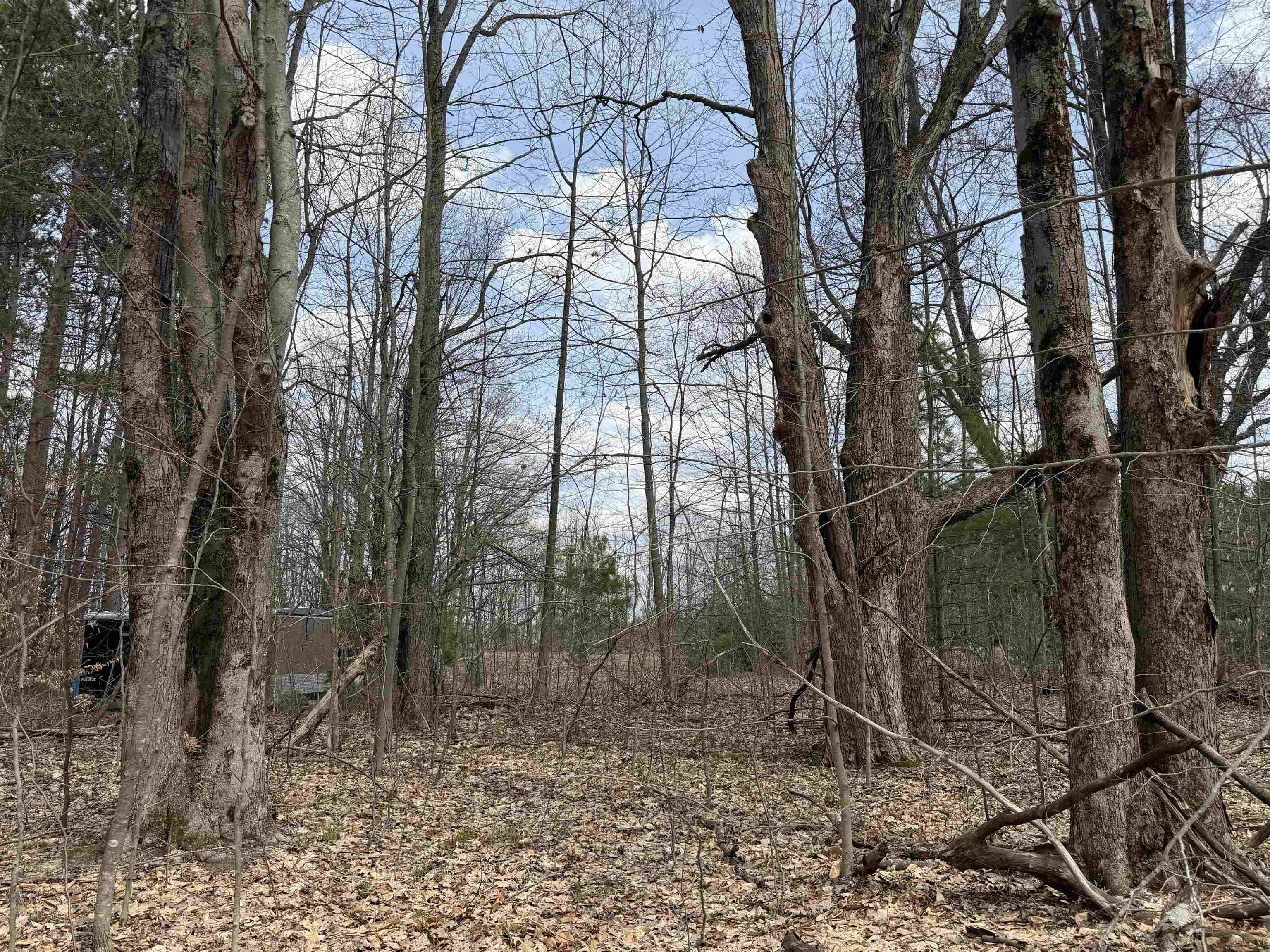 Hoosier Valley Road, Traverse City, MI, 49685
