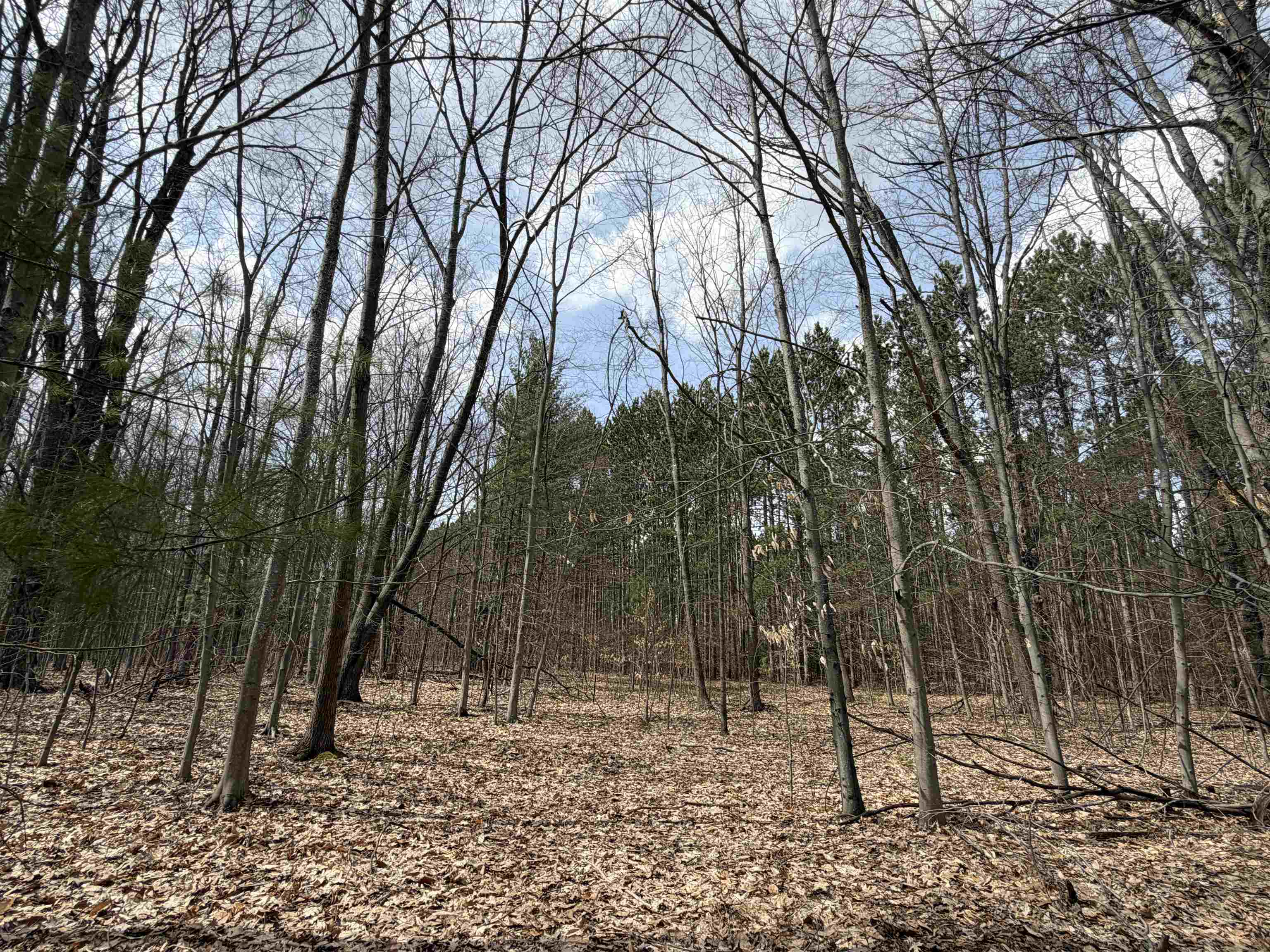 Hoosier Valley Road, Traverse City, MI, 49685