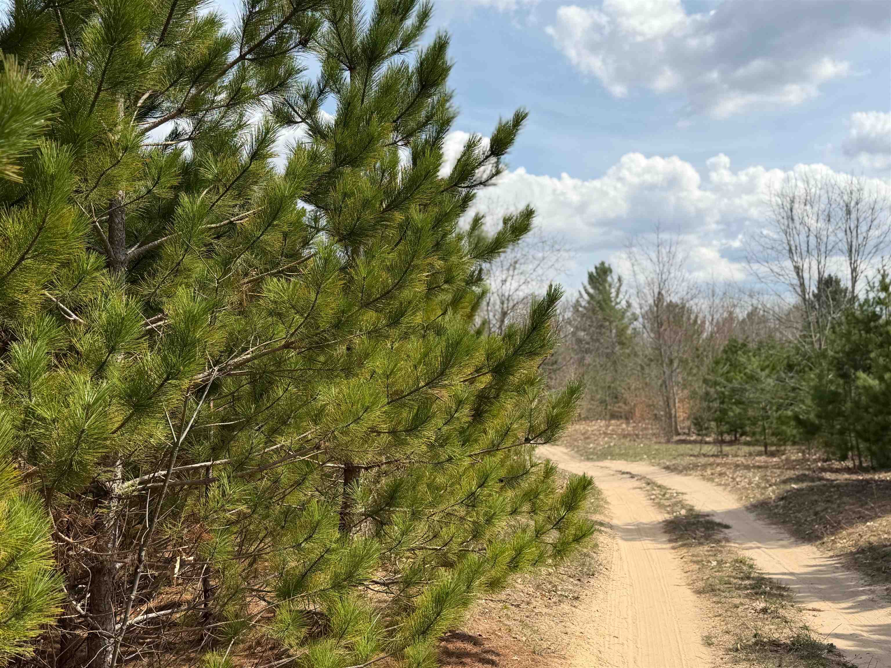 Hoosier Valley Road, Traverse City, MI, 49685