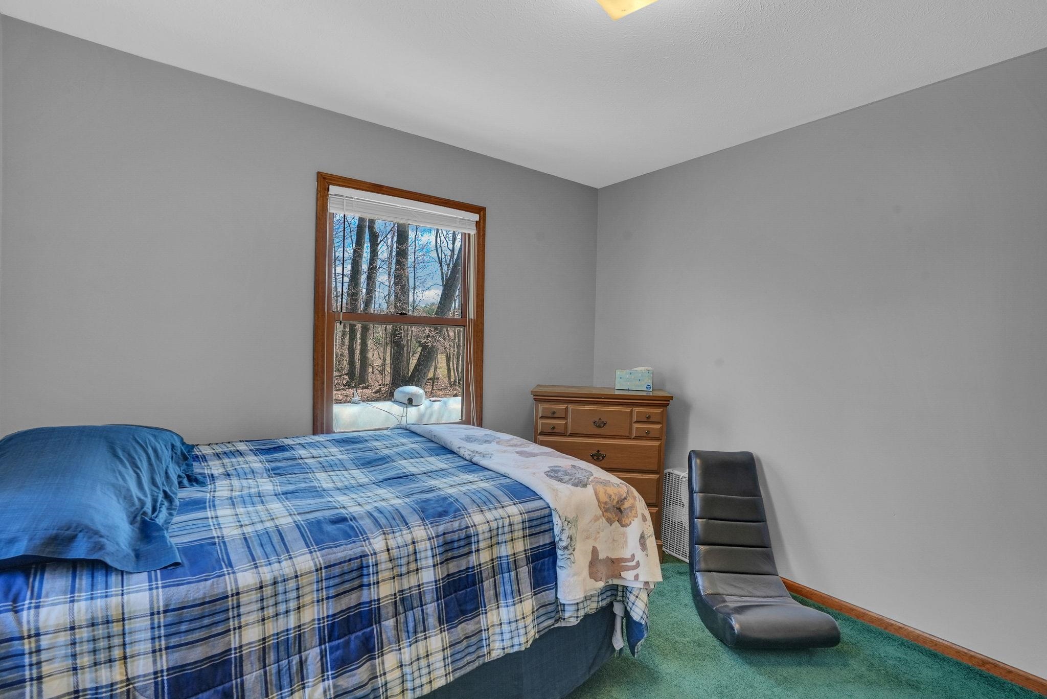 7761 S Dyer Lake Road, Falmouth, MI, 49632
