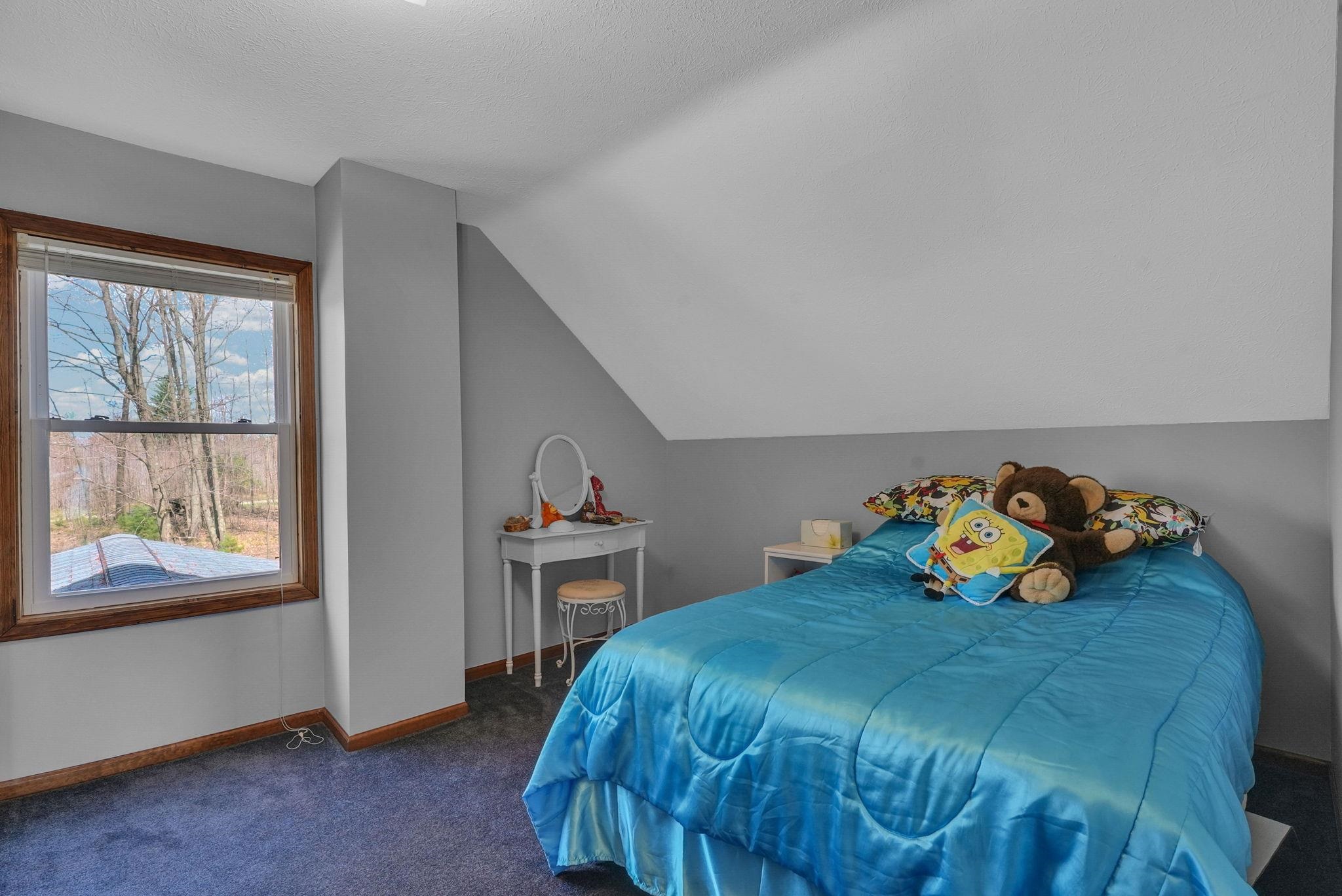 7761 S Dyer Lake Road, Falmouth, MI, 49632