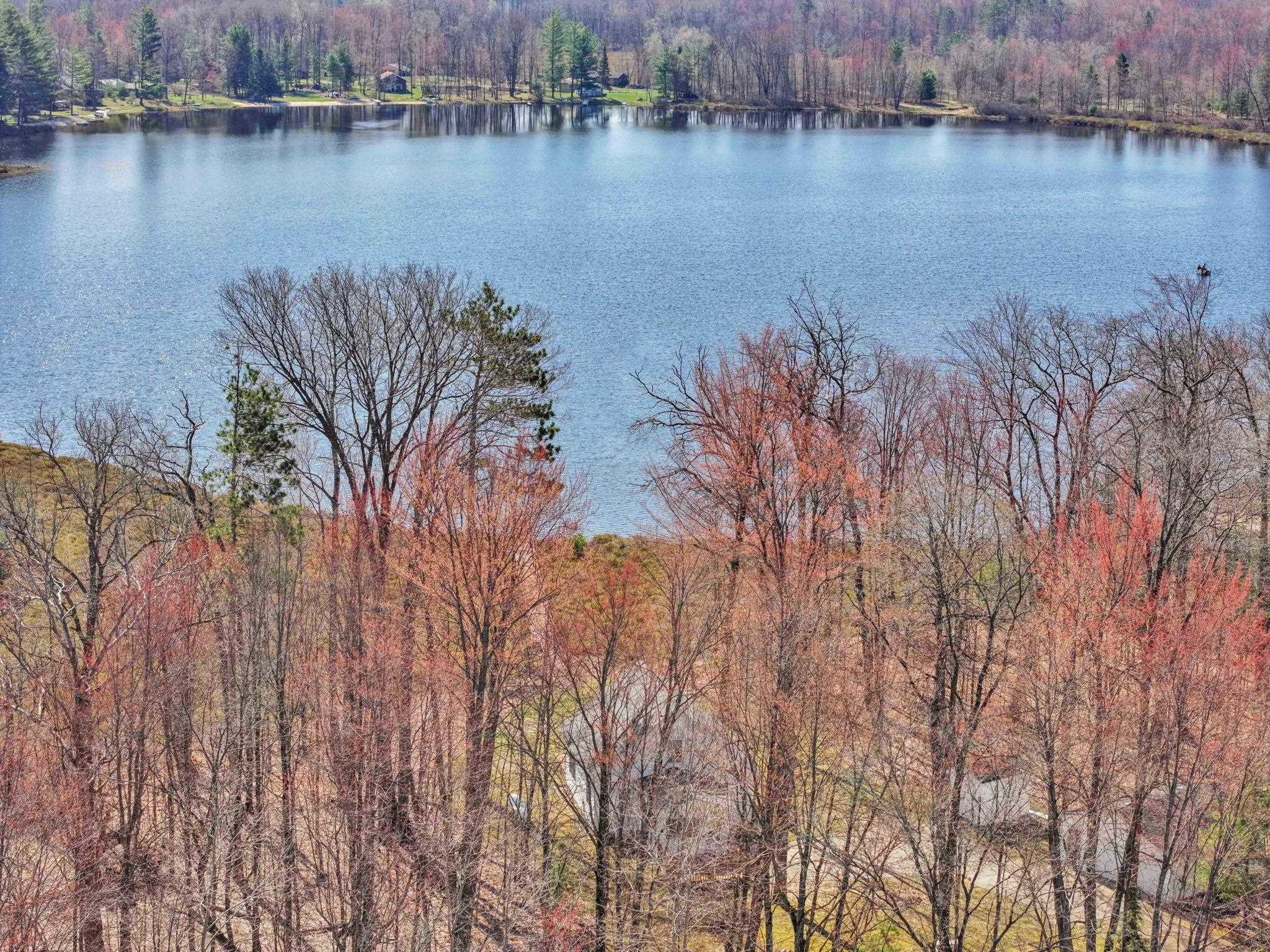 7761 S Dyer Lake Road, Falmouth, MI, 49632