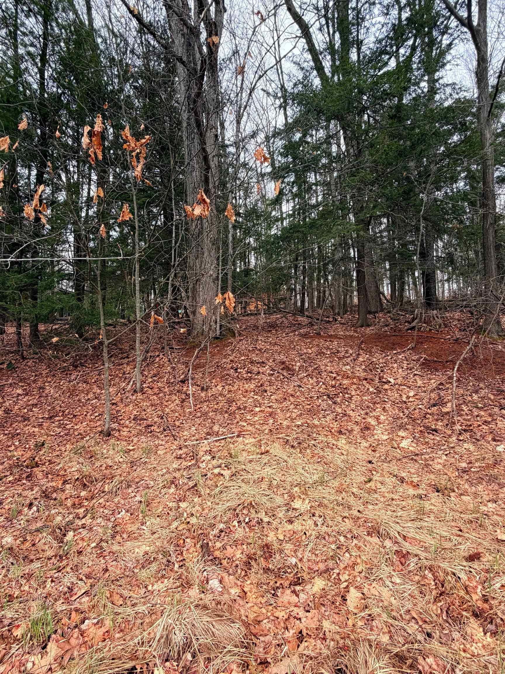 03 Woodland Trail, Traverse City, MI, 49684