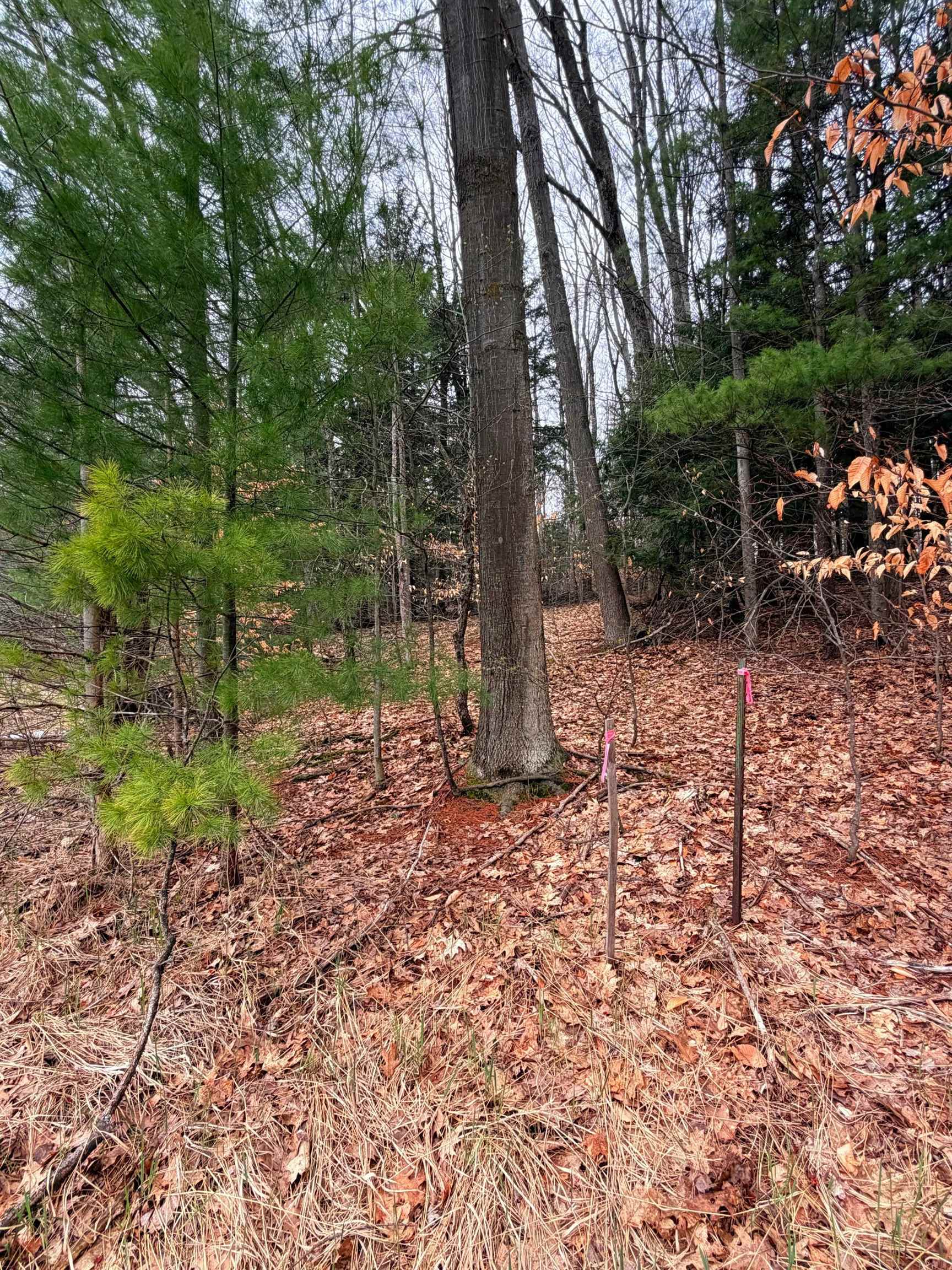 03 Woodland Trail, Traverse City, MI, 49684
