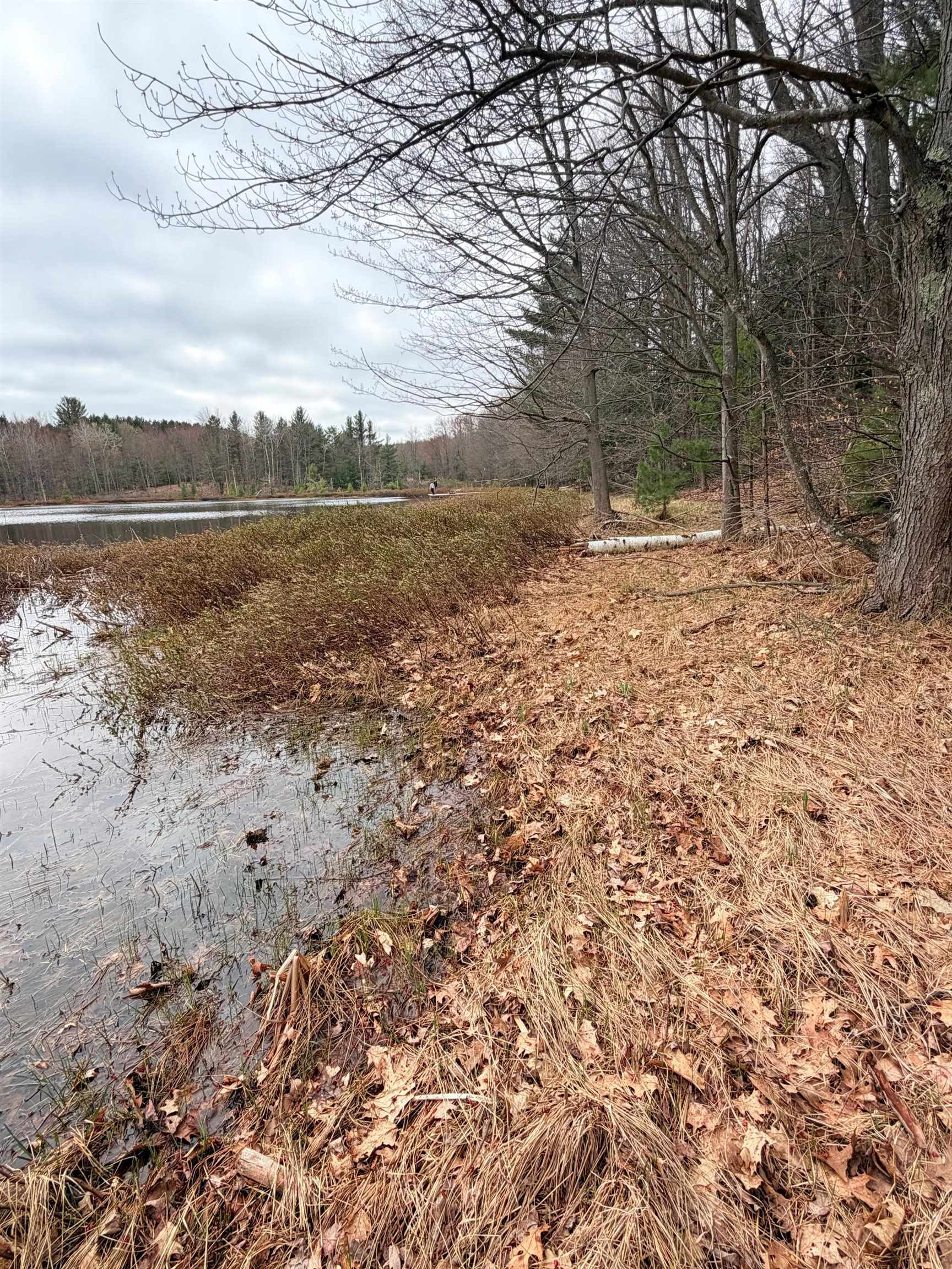 03 Woodland Trail, Traverse City, MI, 49684