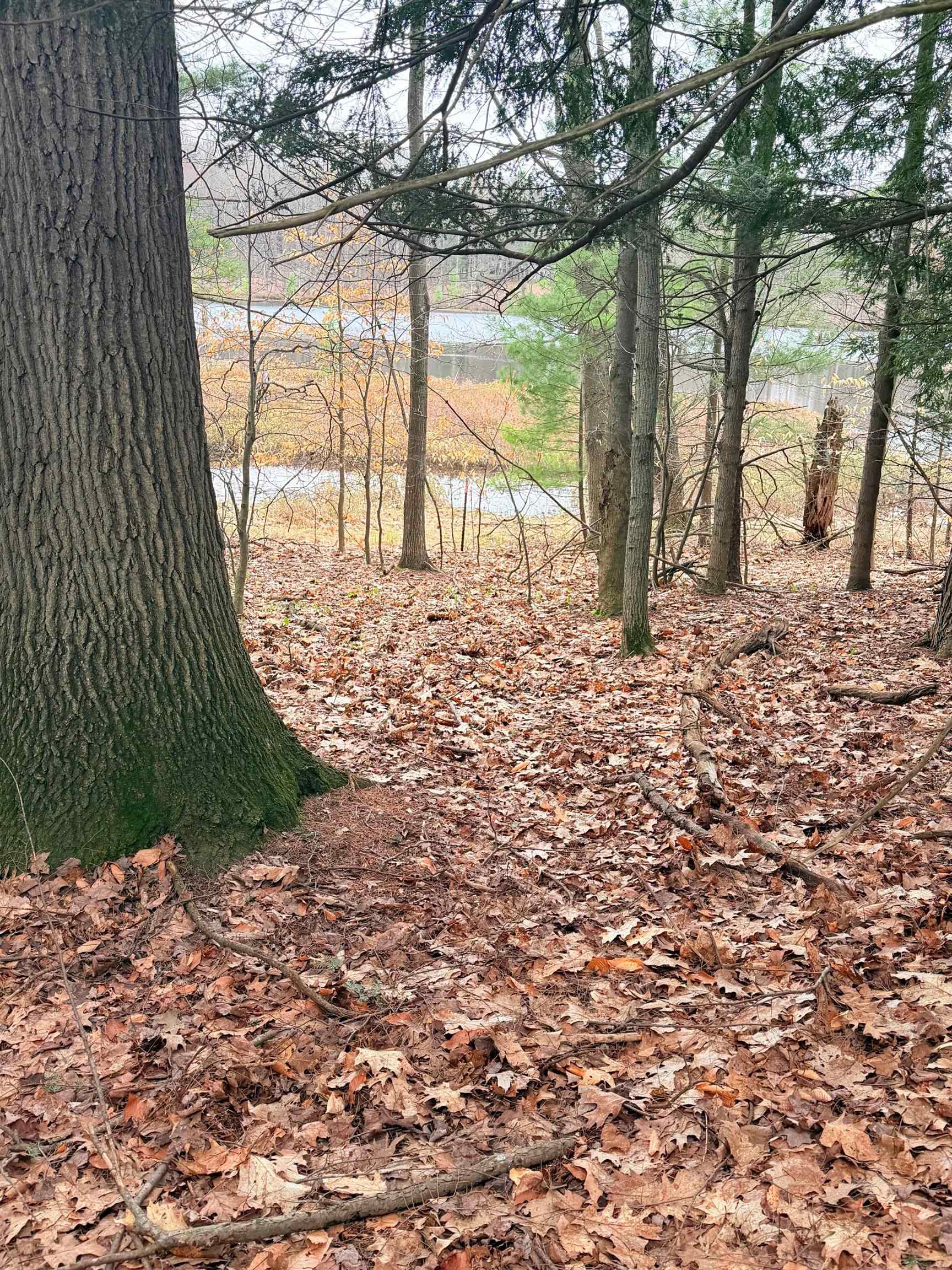 03 Woodland Trail, Traverse City, MI, 49684