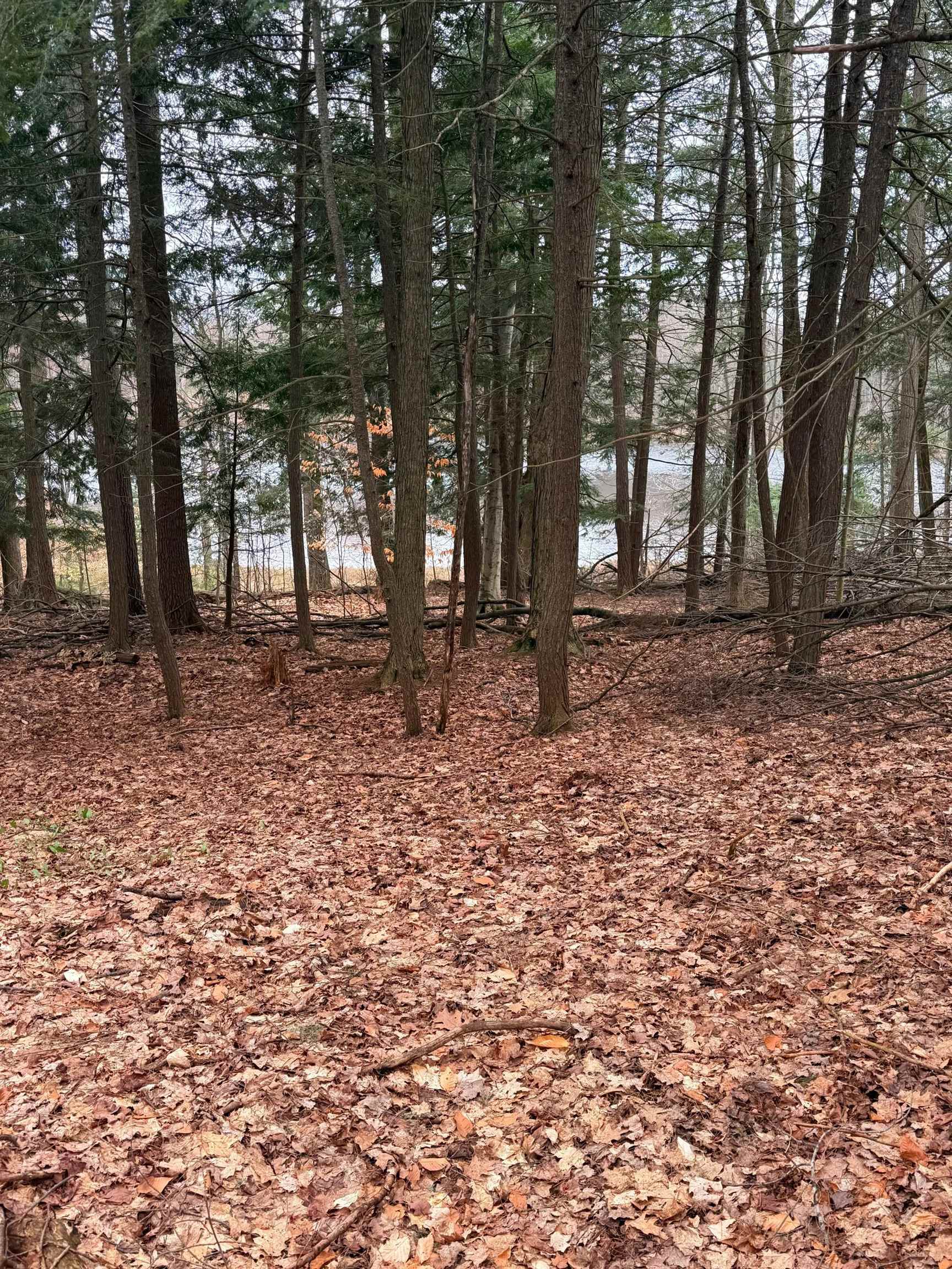03 Woodland Trail, Traverse City, MI, 49684