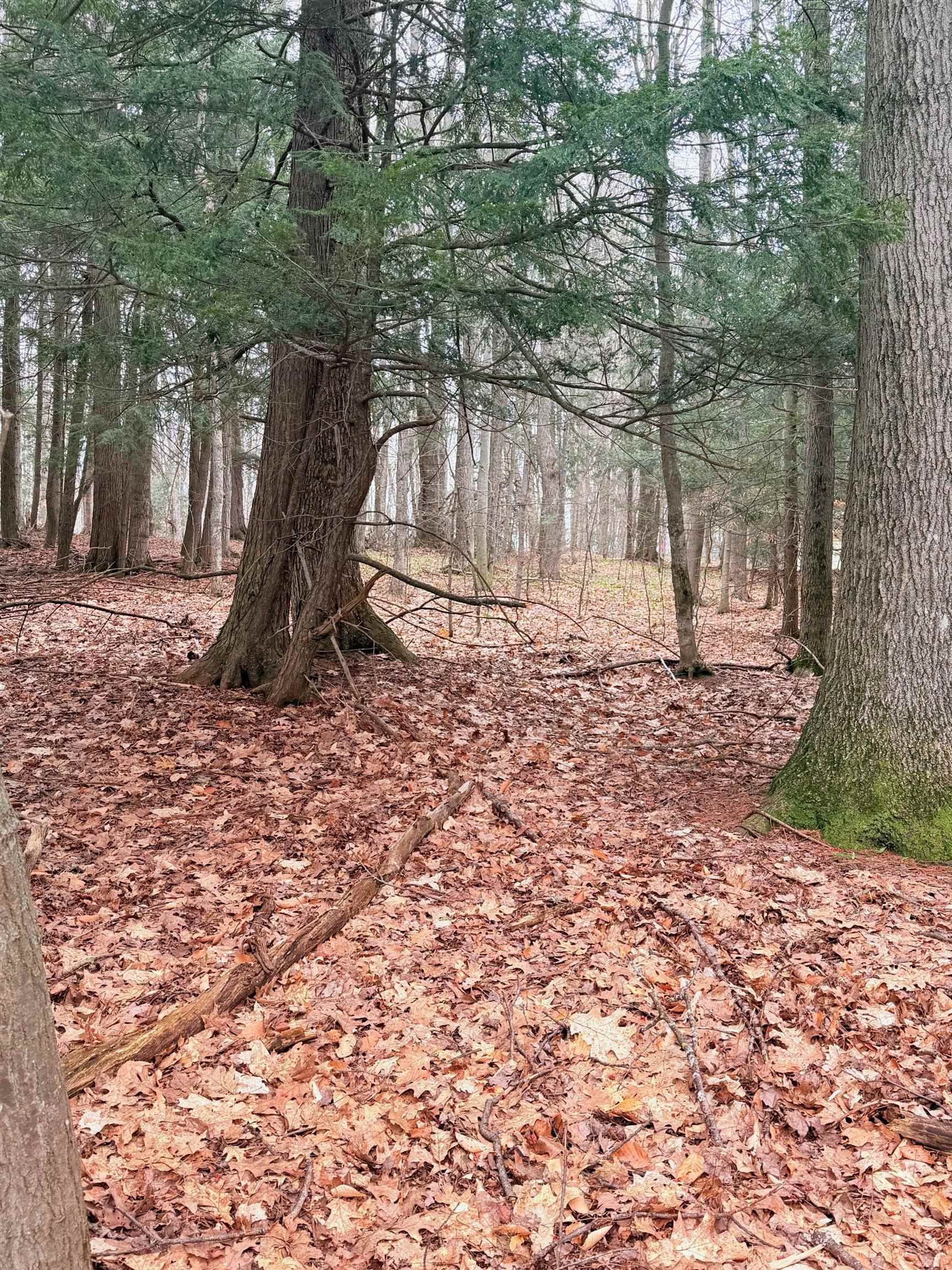 03 Woodland Trail, Traverse City, MI, 49684