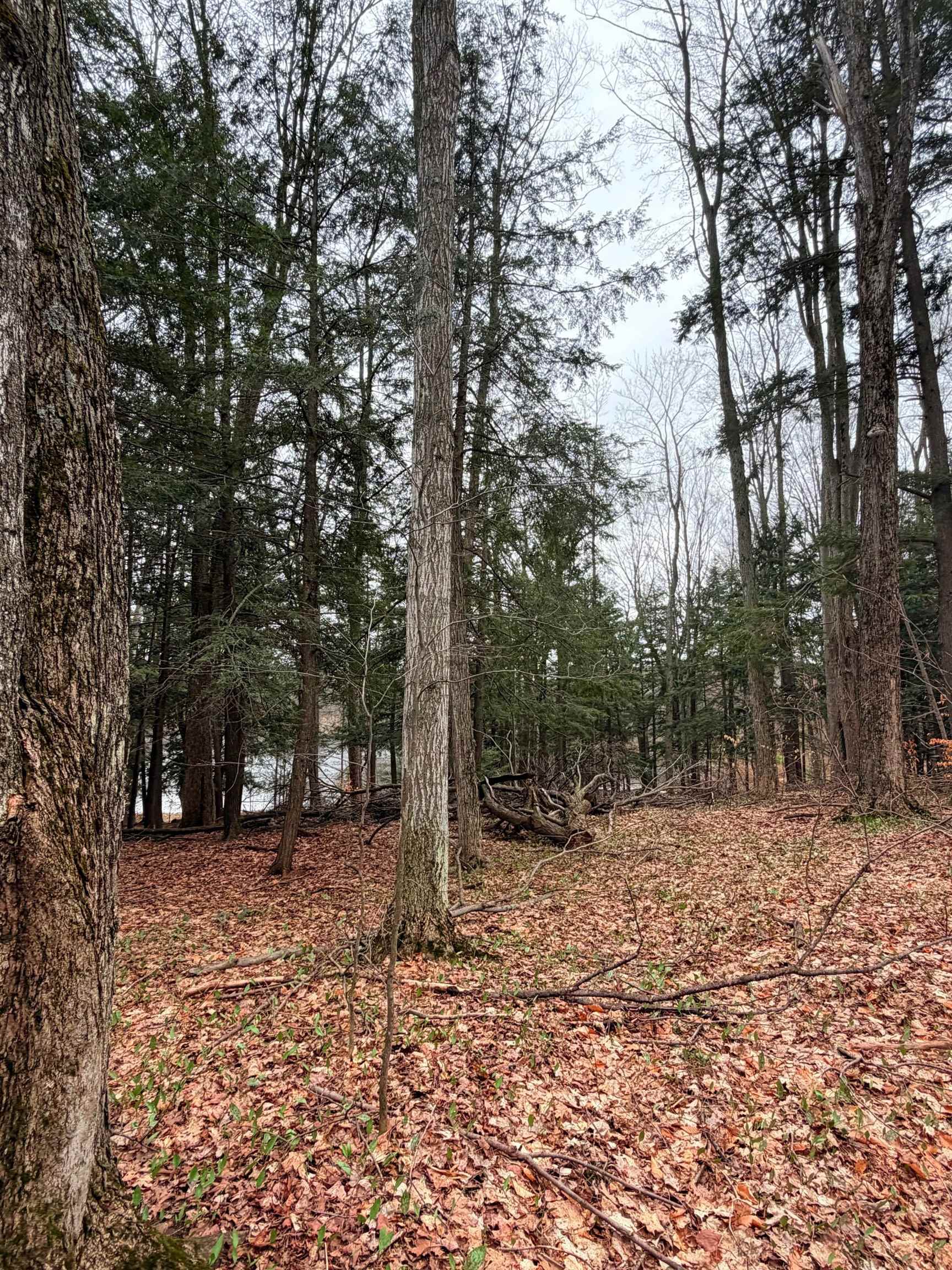 03 Woodland Trail, Traverse City, MI, 49684