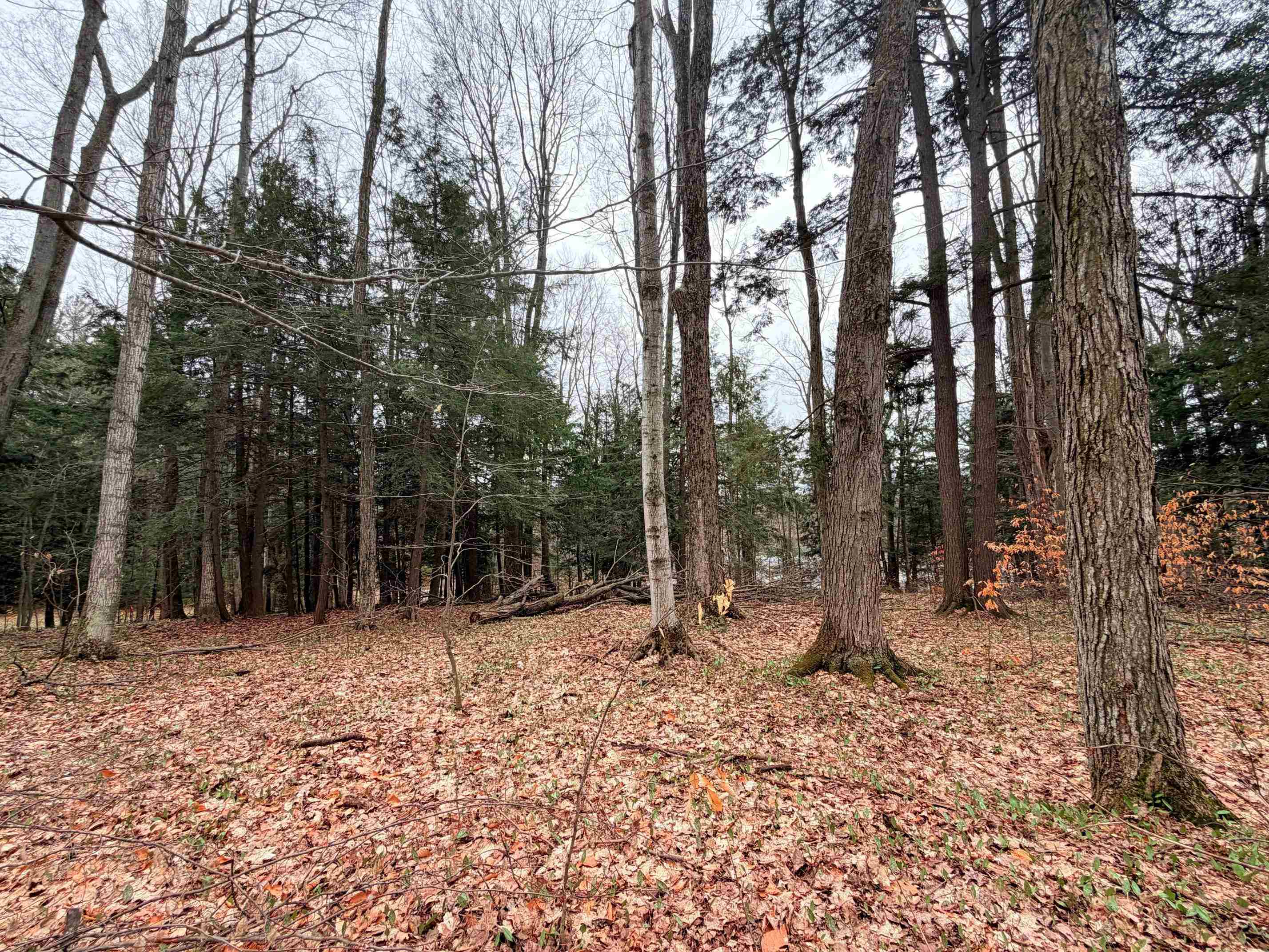 03 Woodland Trail, Traverse City, MI, 49684