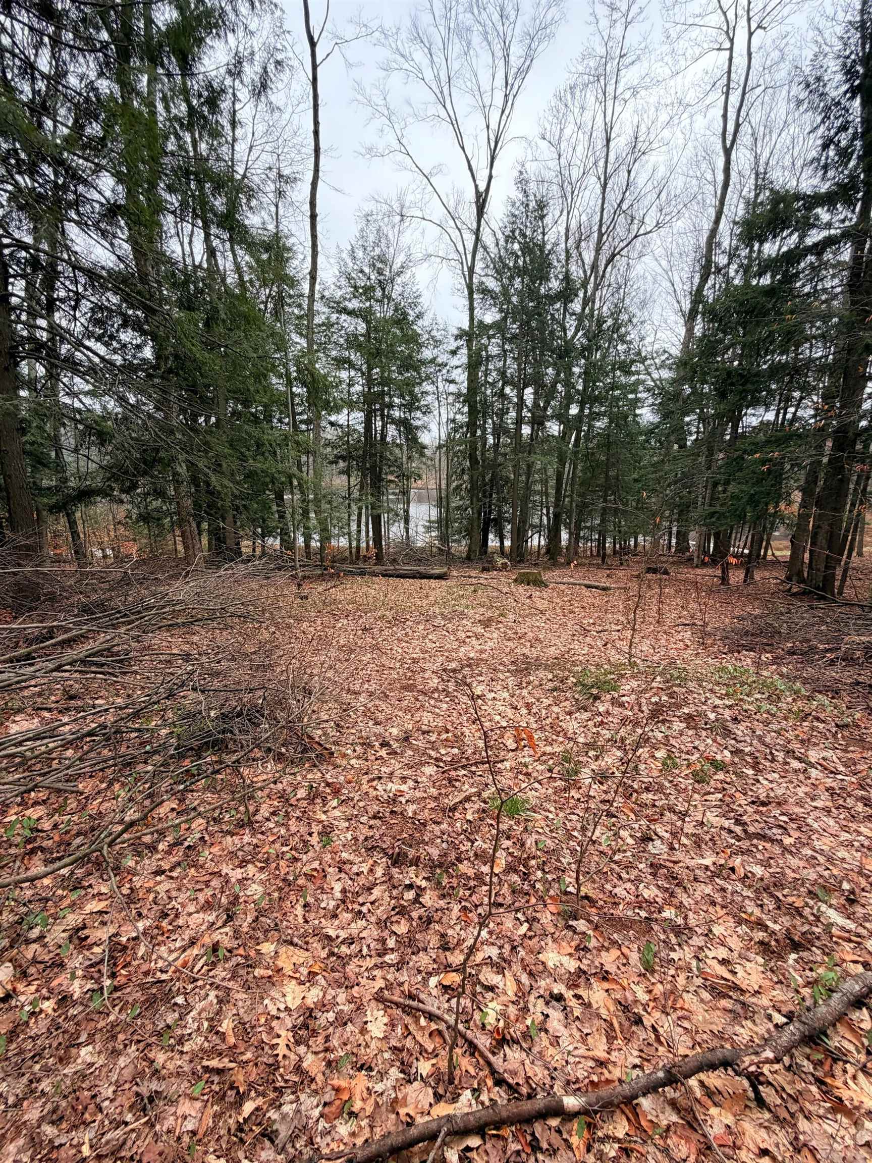 03 Woodland Trail, Traverse City, MI, 49684