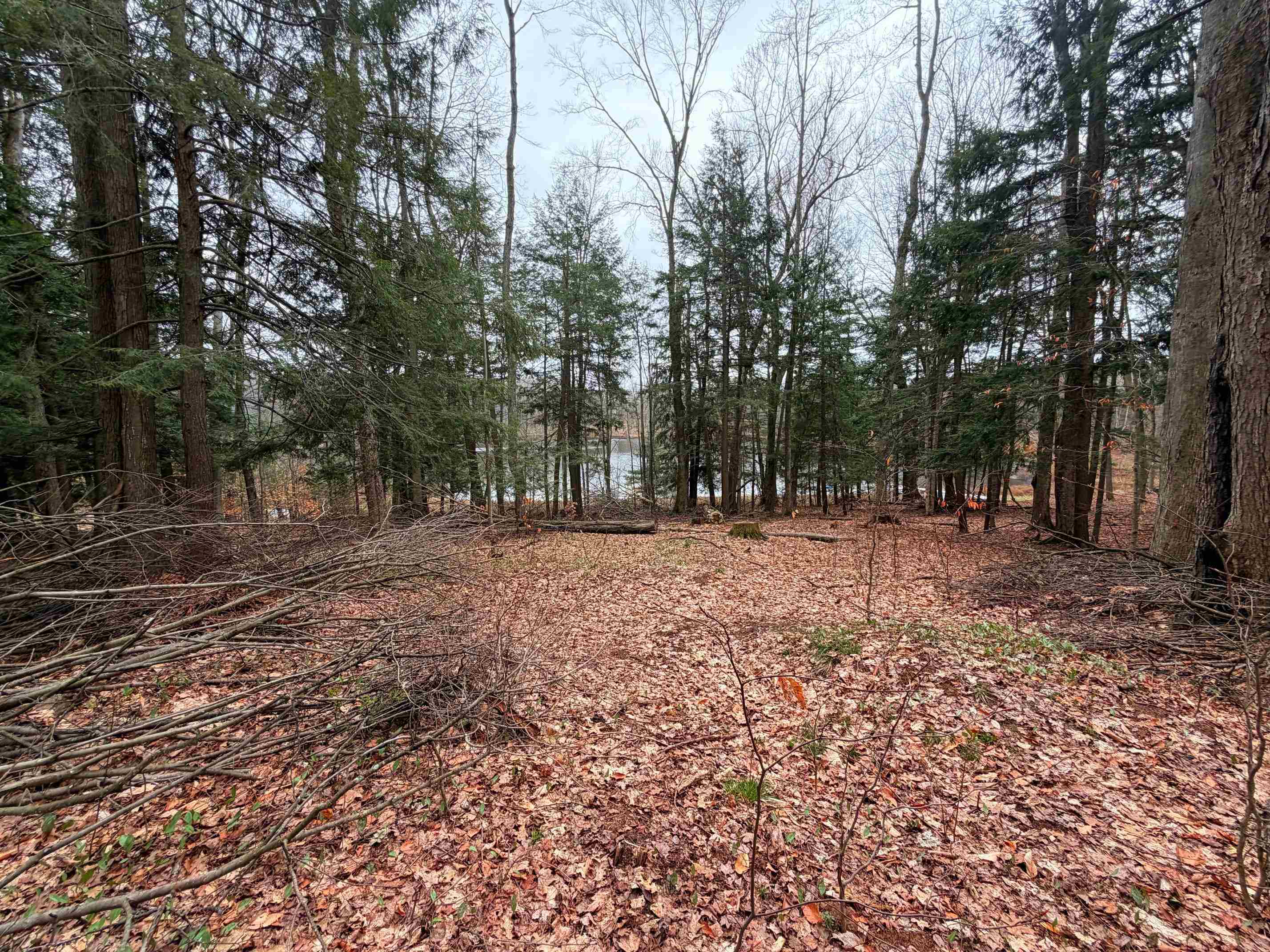 03 Woodland Trail, Traverse City, MI, 49684