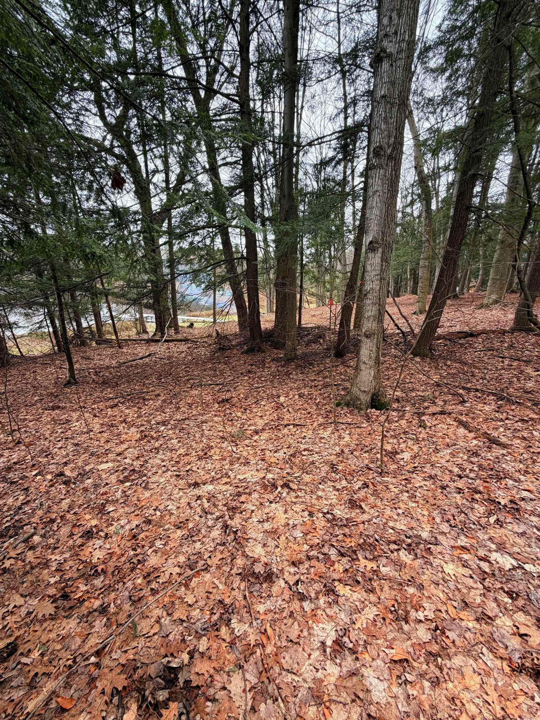 03 Woodland Trail, Traverse City, MI, 49684