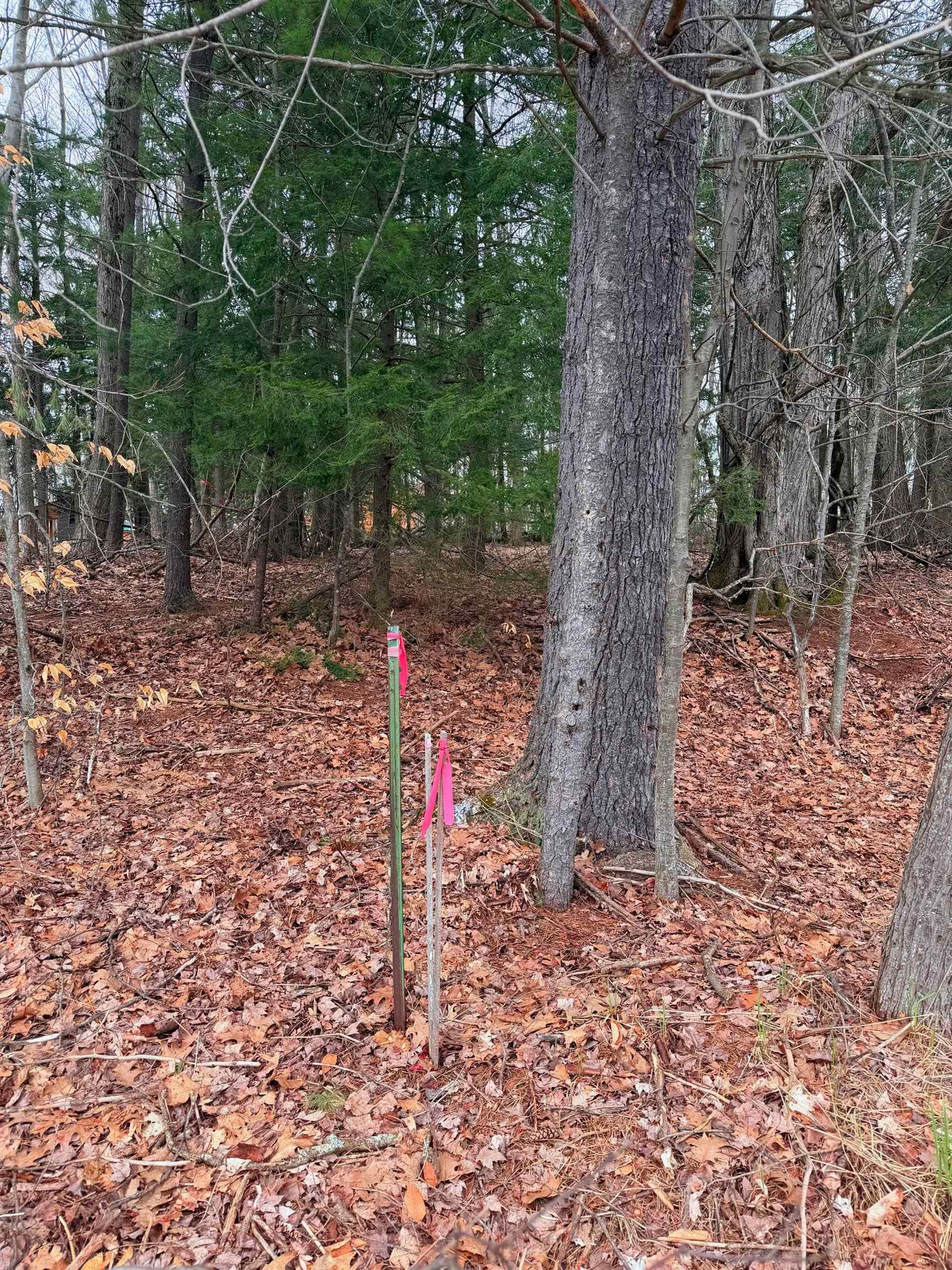 03 Woodland Trail, Traverse City, MI, 49684