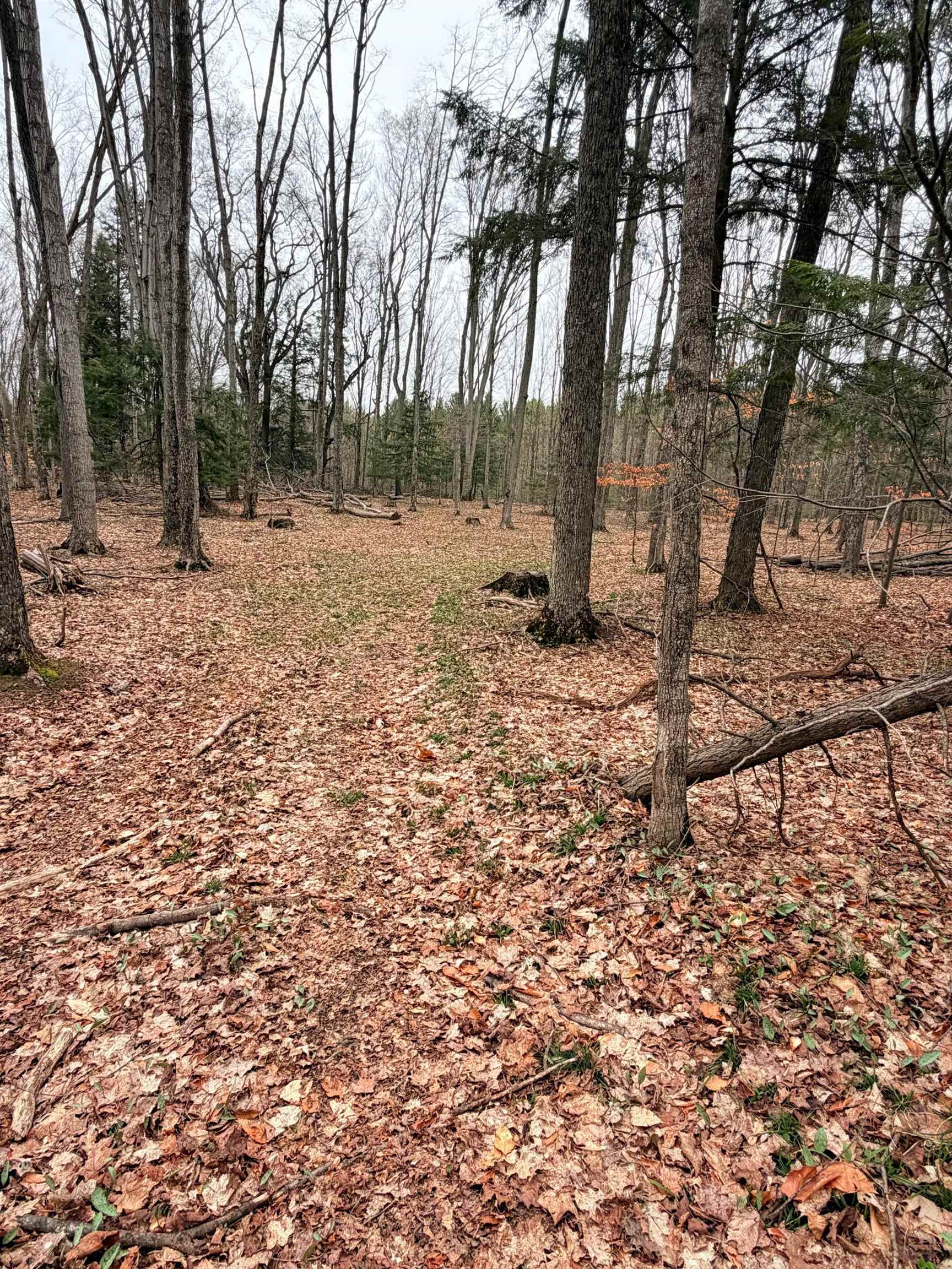 03 Woodland Trail, Traverse City, MI, 49684