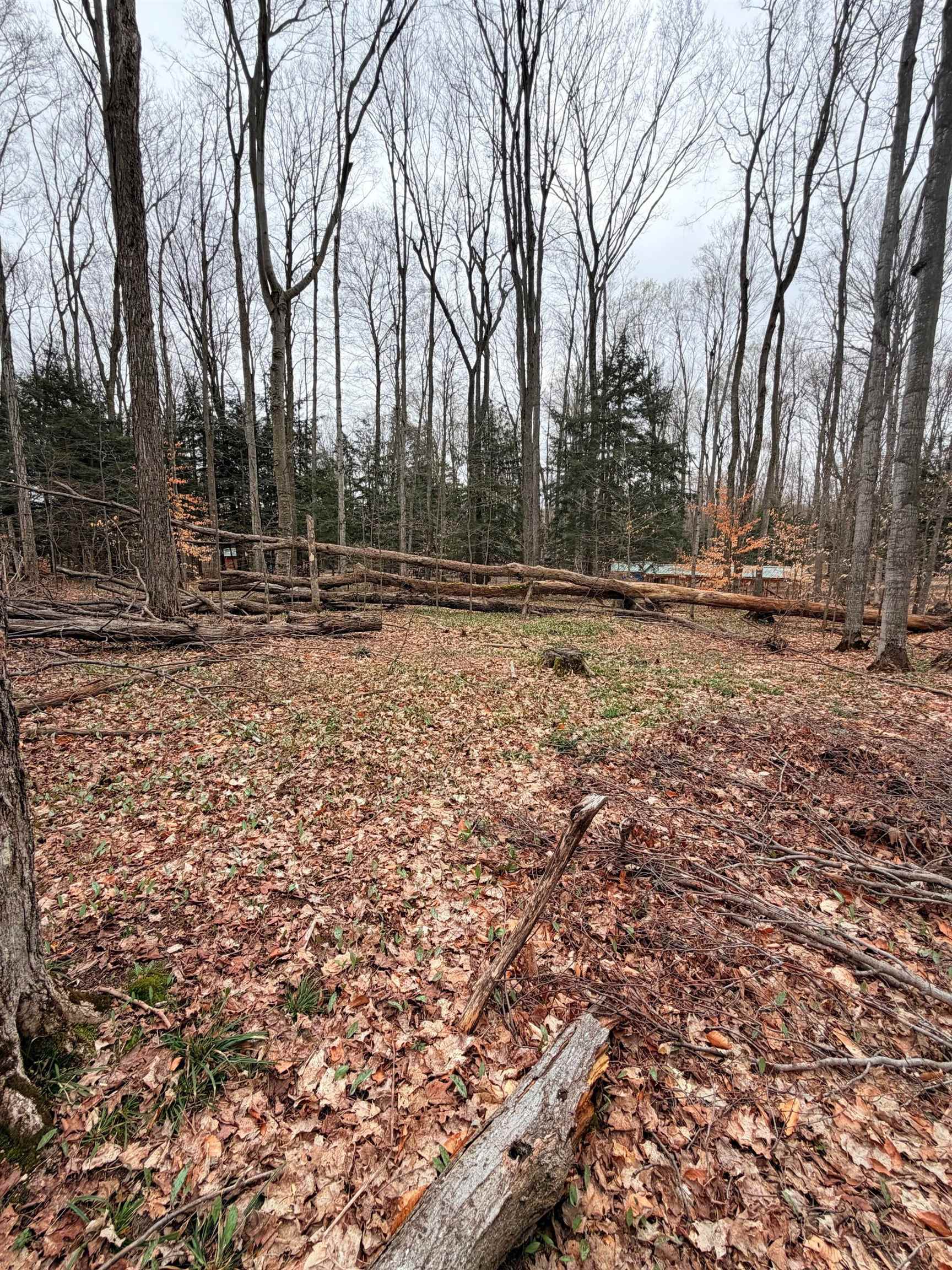 03 Woodland Trail, Traverse City, MI, 49684