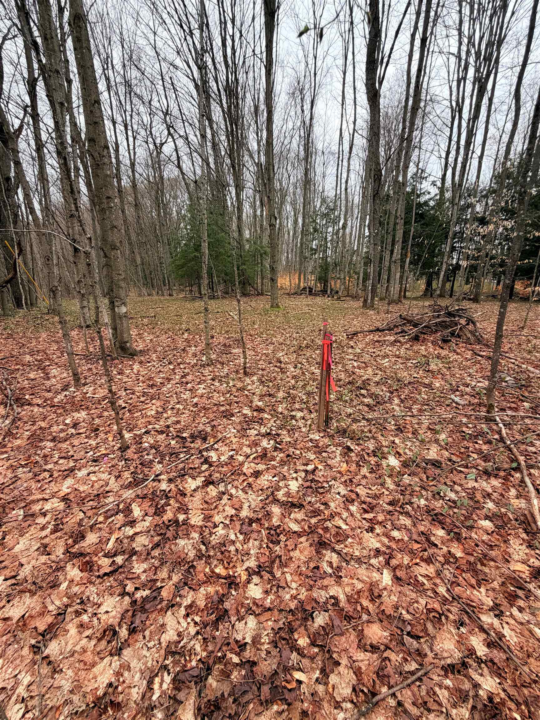 03 Woodland Trail, Traverse City, MI, 49684