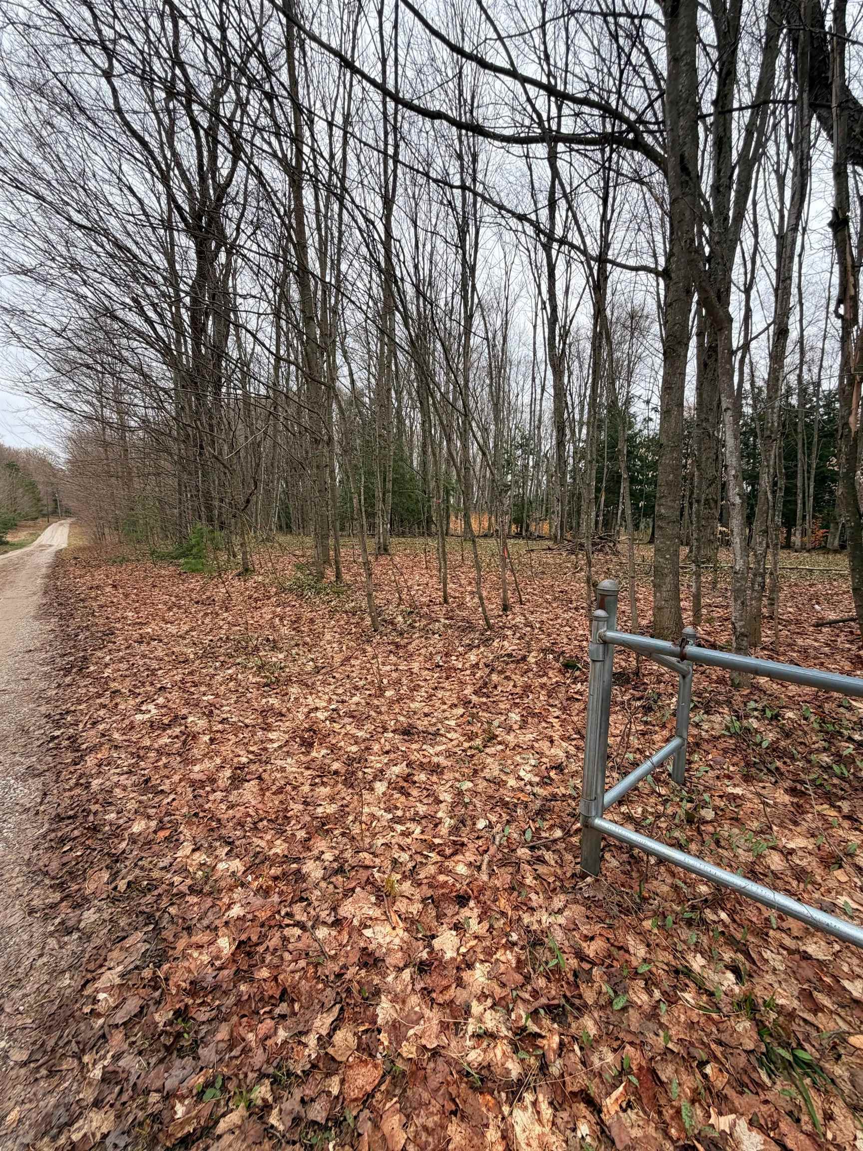 03 Woodland Trail, Traverse City, MI, 49684