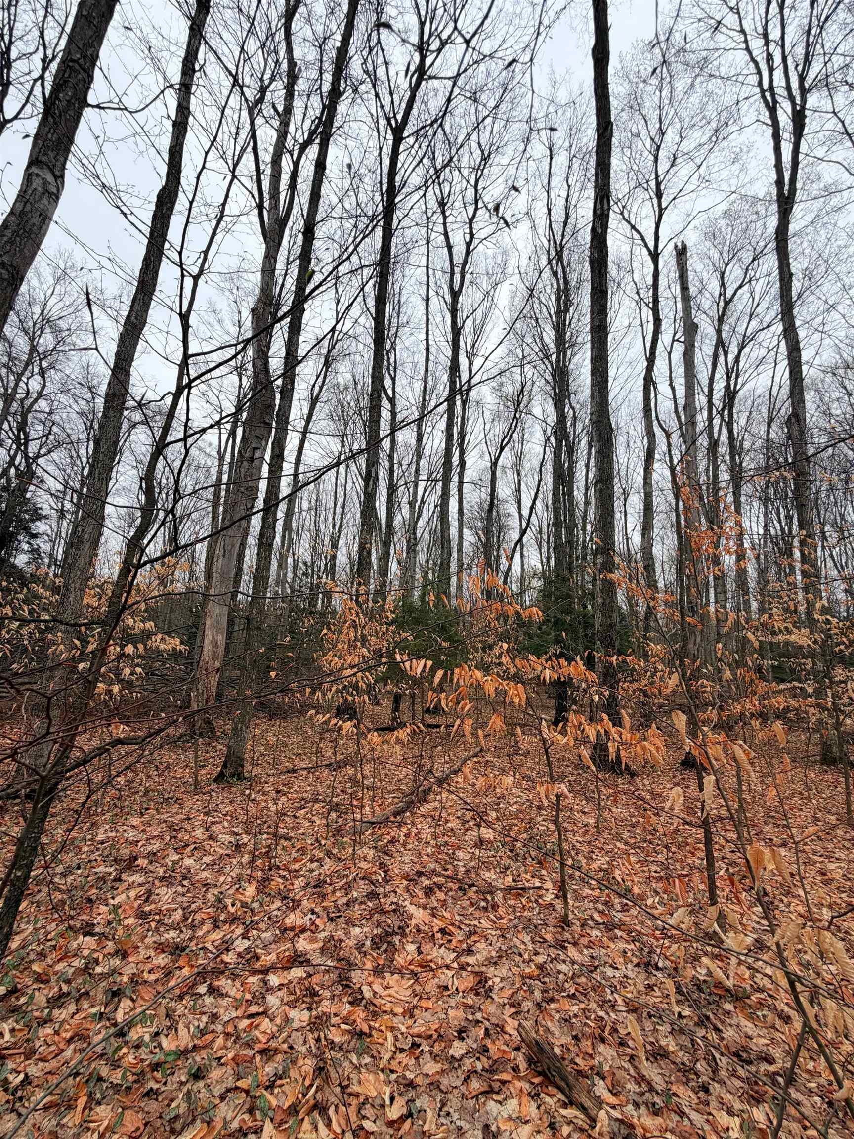 03 Woodland Trail, Traverse City, MI, 49684
