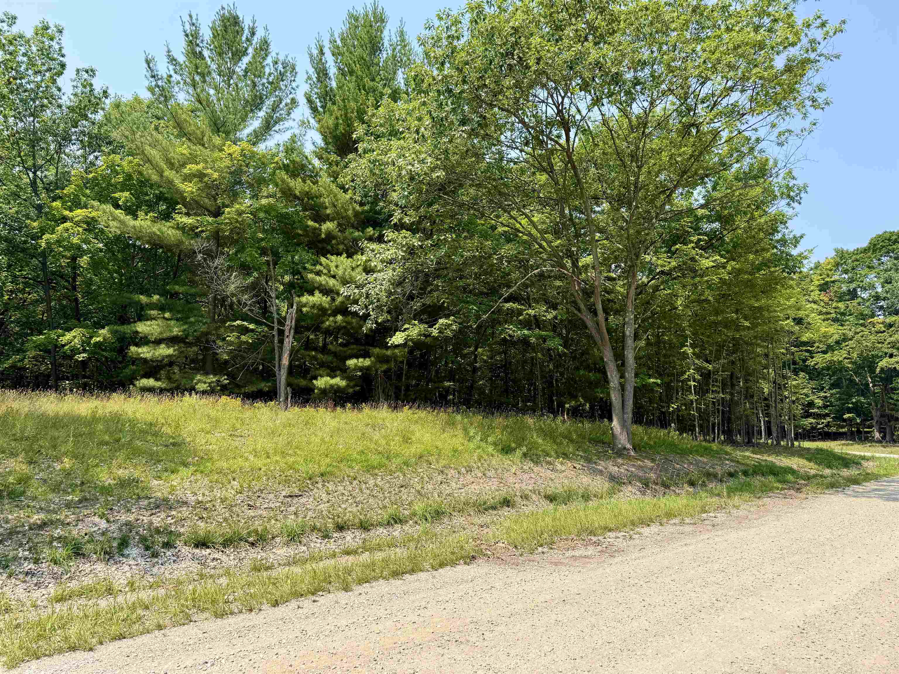 Homes for sale in Maple City, MI | Lot E W Big Sky Trl, Maple City, MI 49664 | MLS# 78080067579