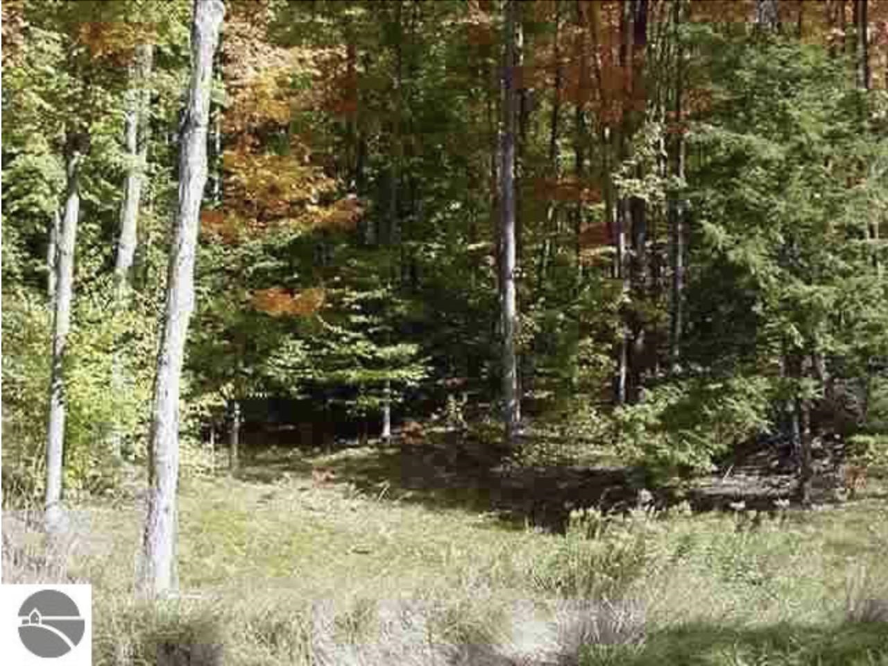 VLUNIT&nbsp;7 Timber Valley Court, Kewadin, MI, 49648