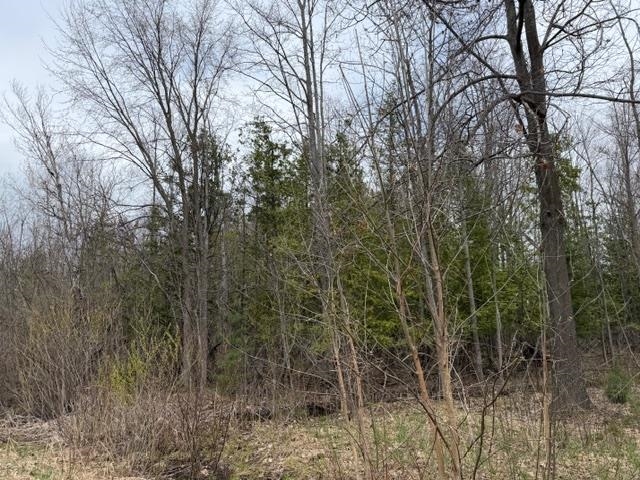 8618 Partridge Trail, Elk Rapids, MI, 49629