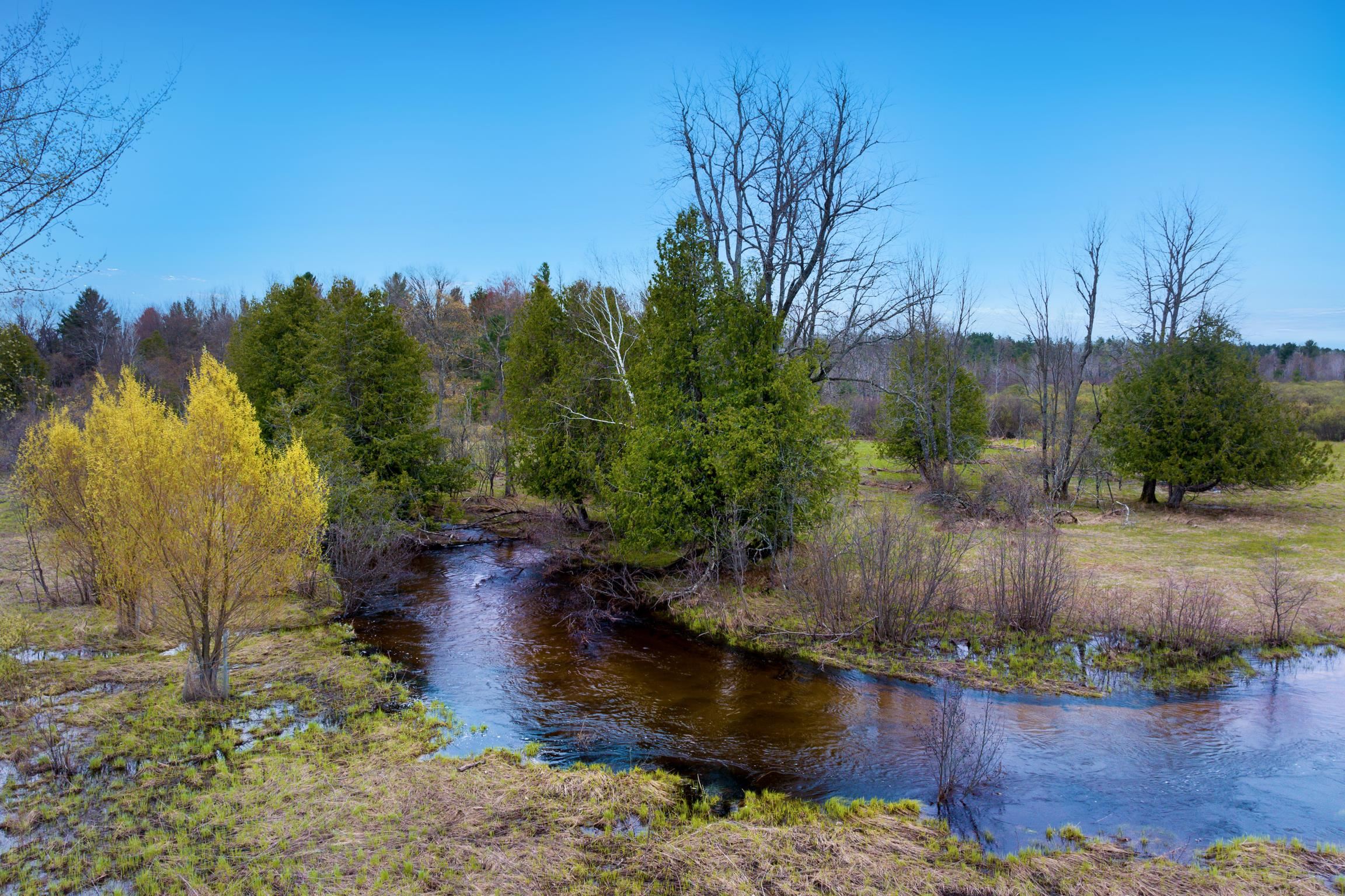 1st image of 7578 S River Road Sw, Kalkaska, MI 49646 | MLS# 80067737