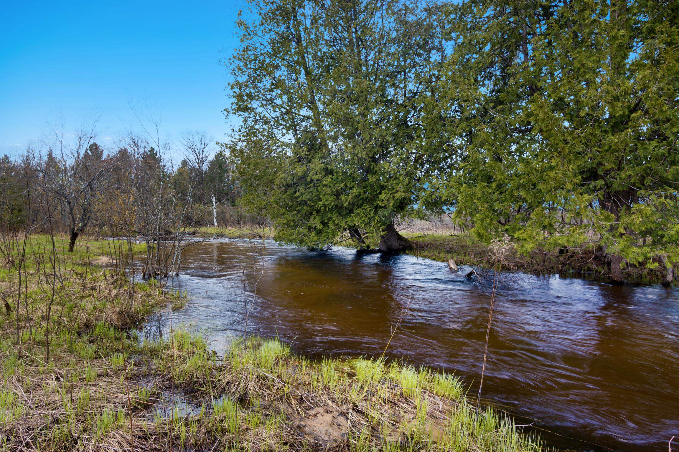7578 S River Road Sw, Kalkaska, MI, 49646
