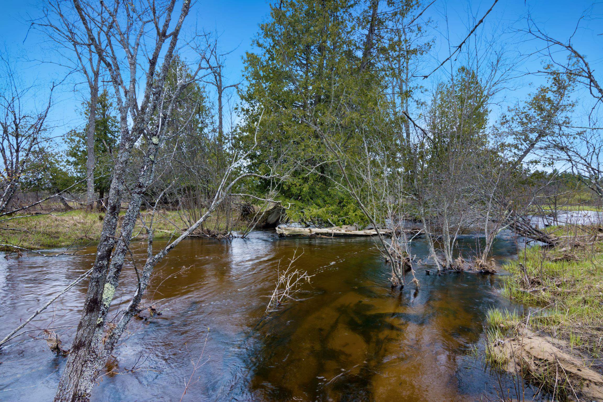 7578 S River Road Sw, Kalkaska, MI, 49646