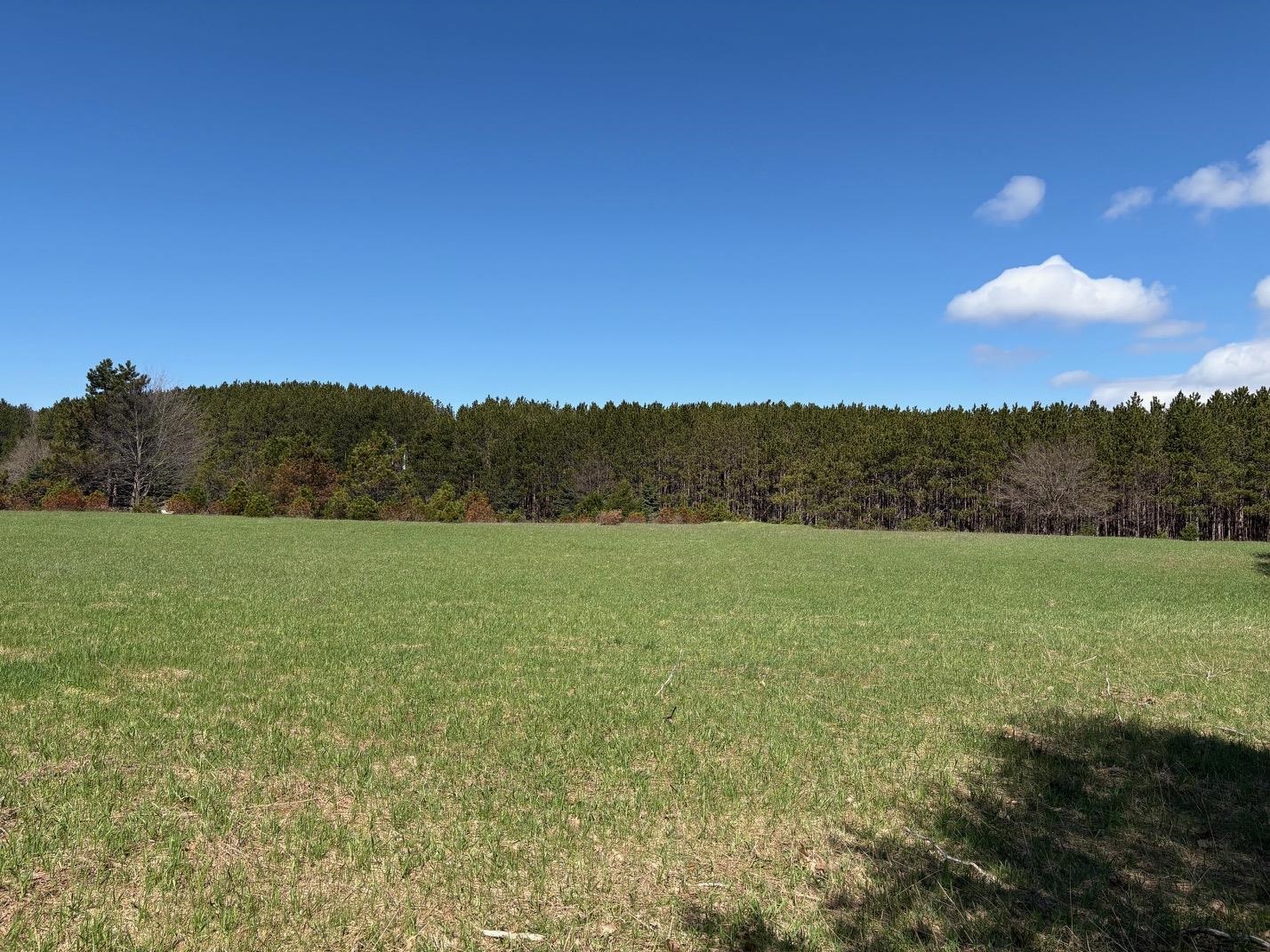 V/L Spruce Ridge, Bear Lake, MI, 49614