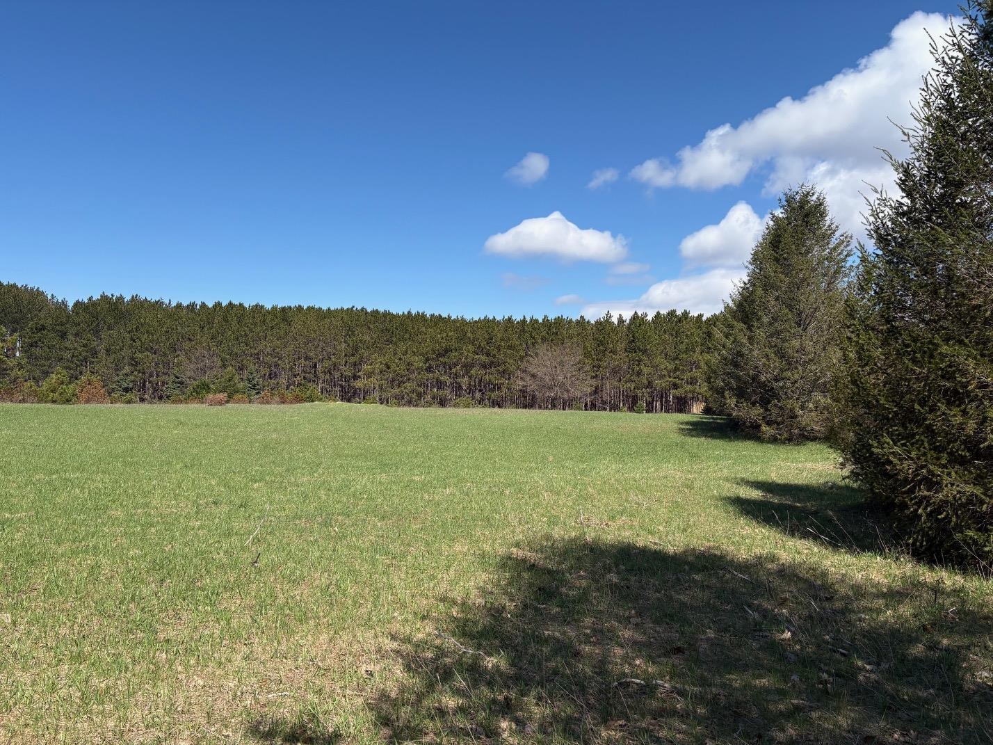 V/L Spruce Ridge, Bear Lake, MI, 49614