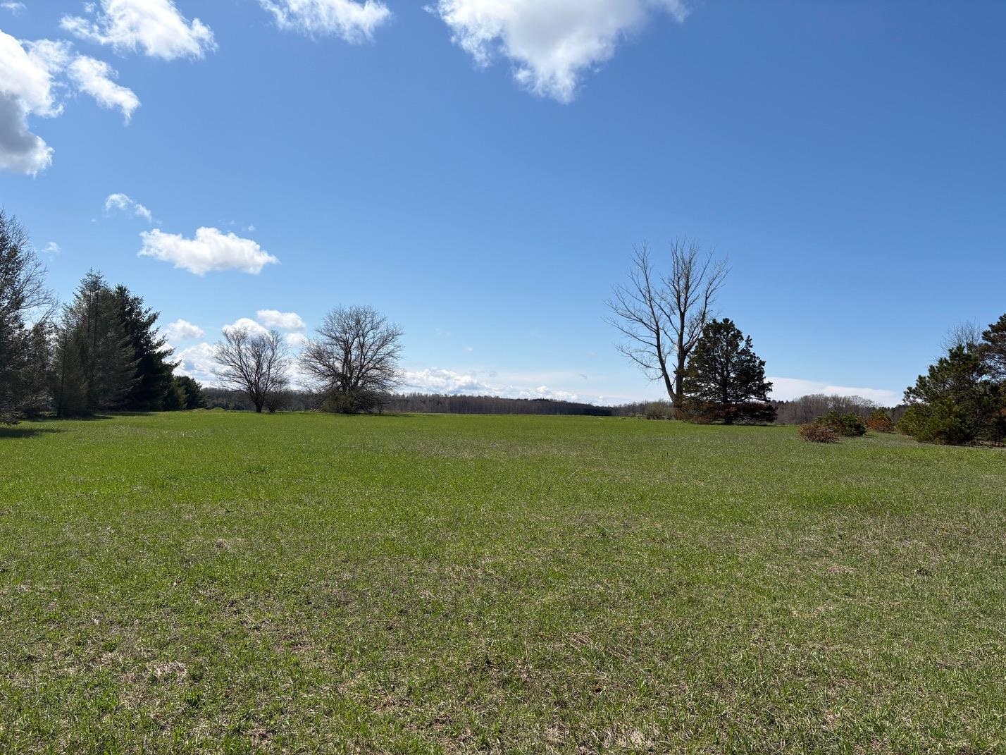V/L Spruce Ridge, Bear Lake, MI, 49614