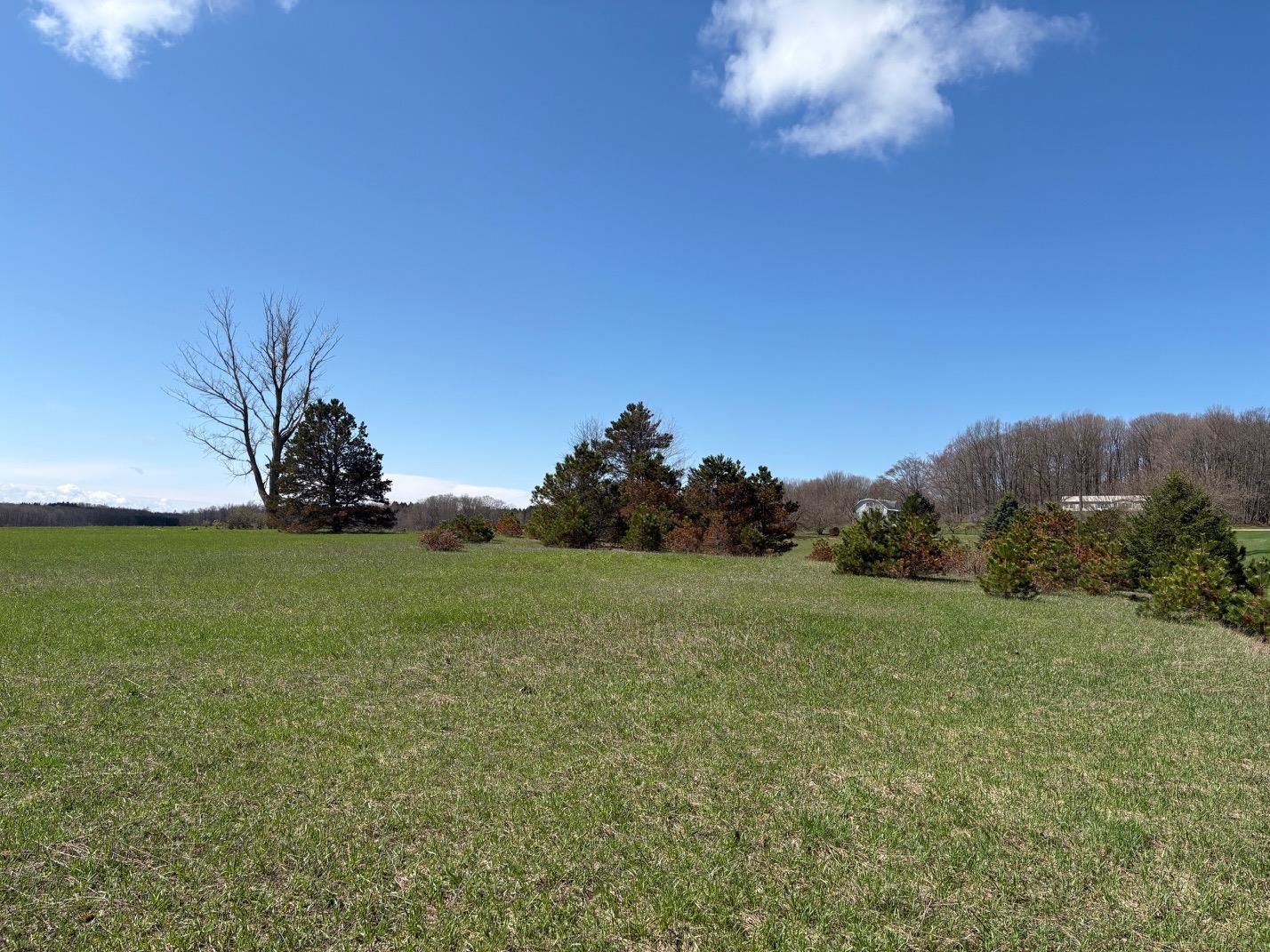 V/L Spruce Ridge, Bear Lake, MI, 49614