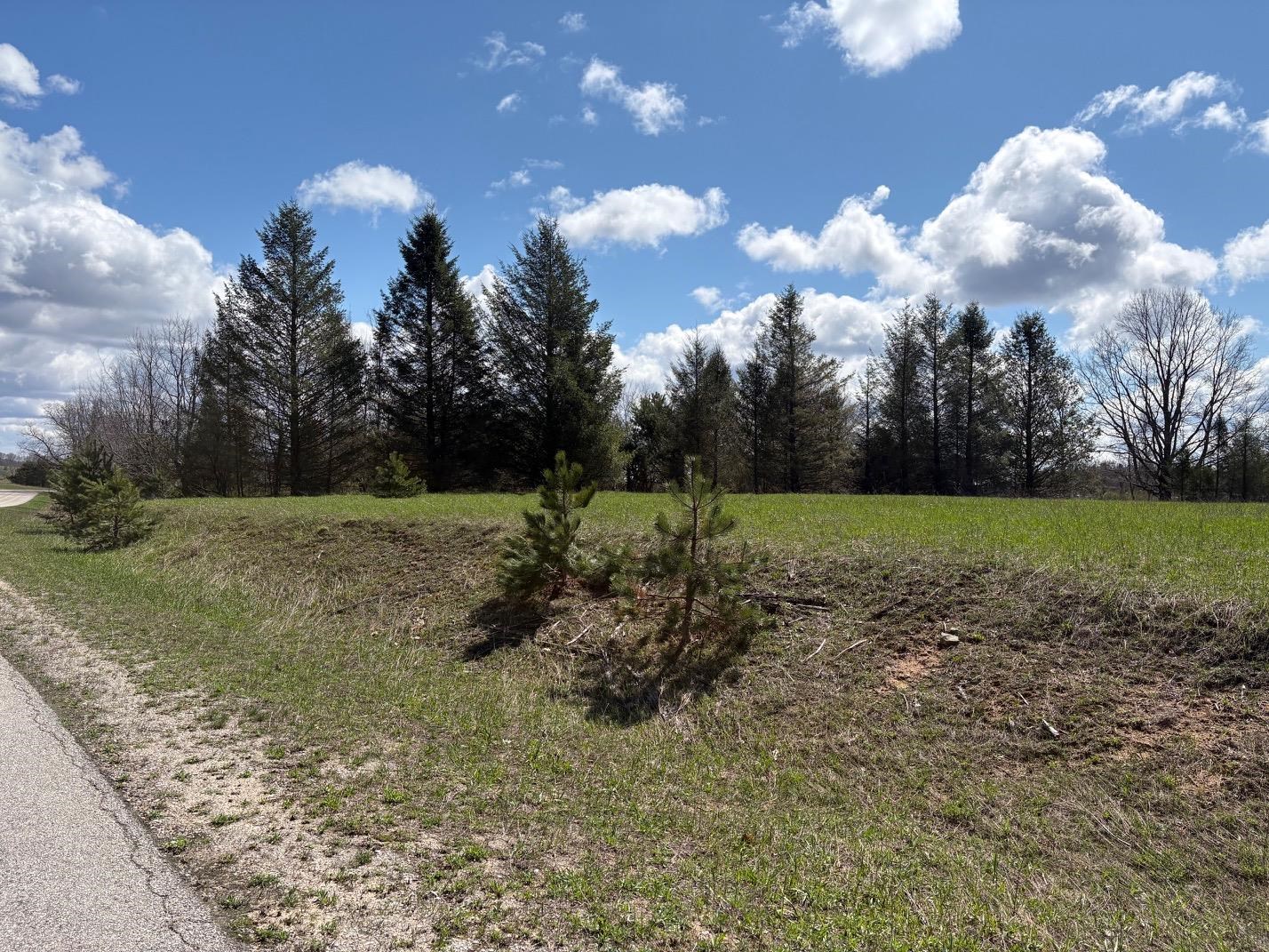 V/L Spruce Ridge, Bear Lake, MI, 49614
