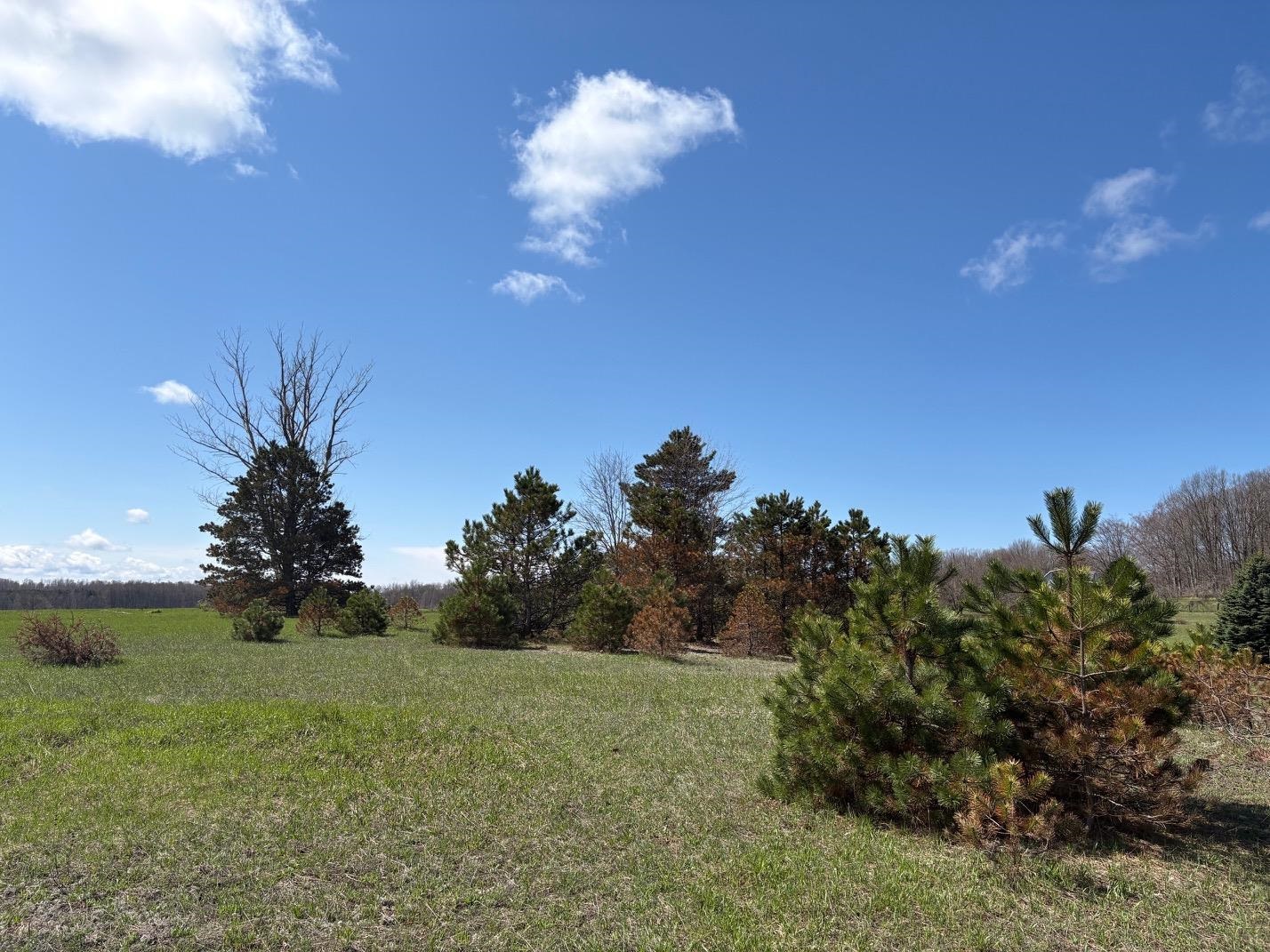 V/L Spruce Ridge, Bear Lake, MI, 49614
