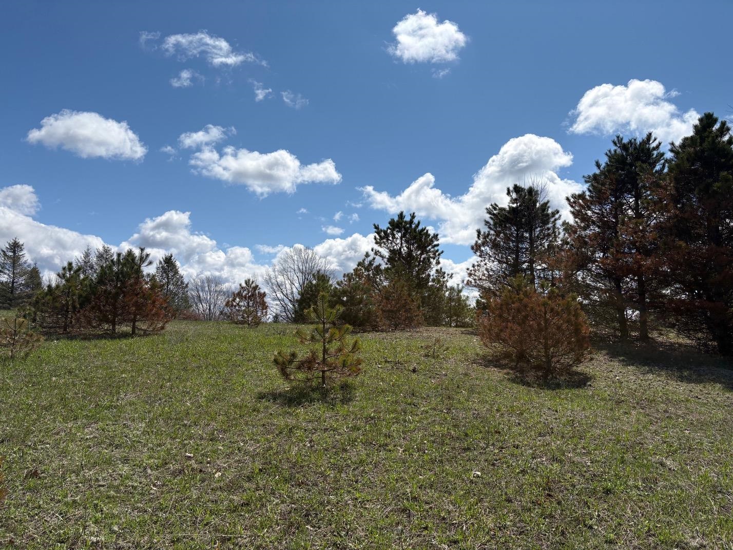 V/L Spruce Ridge, Bear Lake, MI, 49614