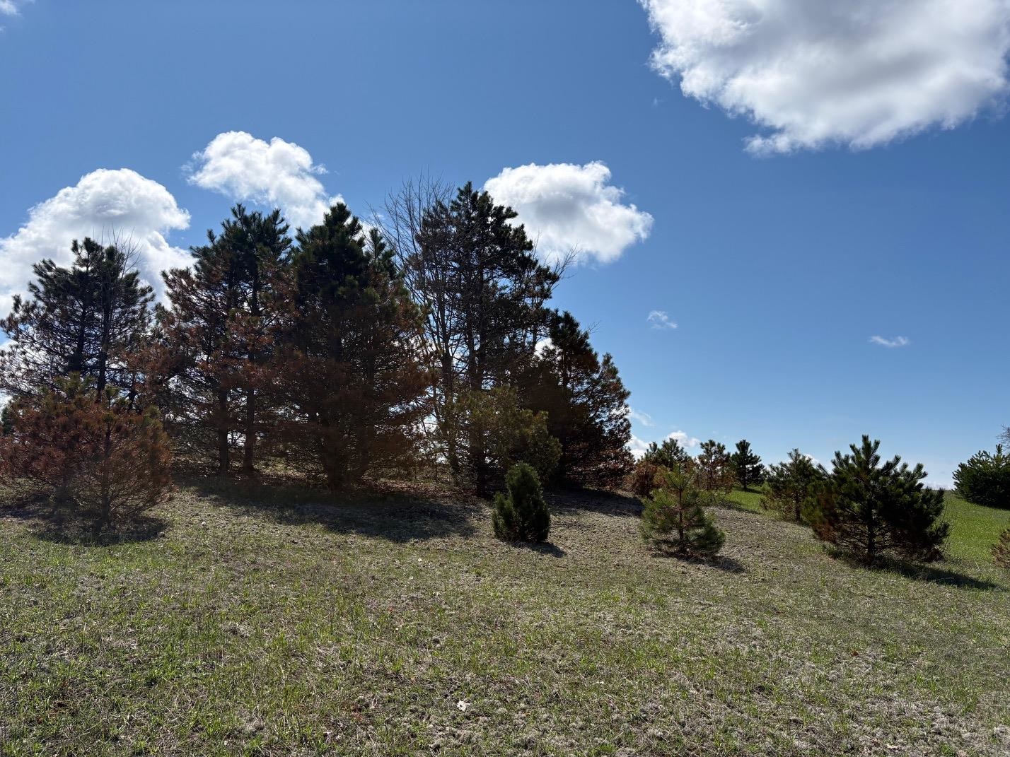 V/L Spruce Ridge, Bear Lake, MI, 49614