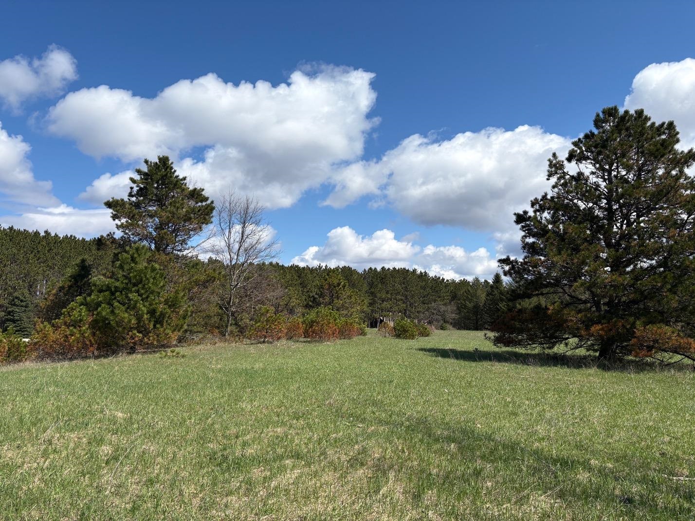 V/L Spruce Ridge, Bear Lake, MI, 49614