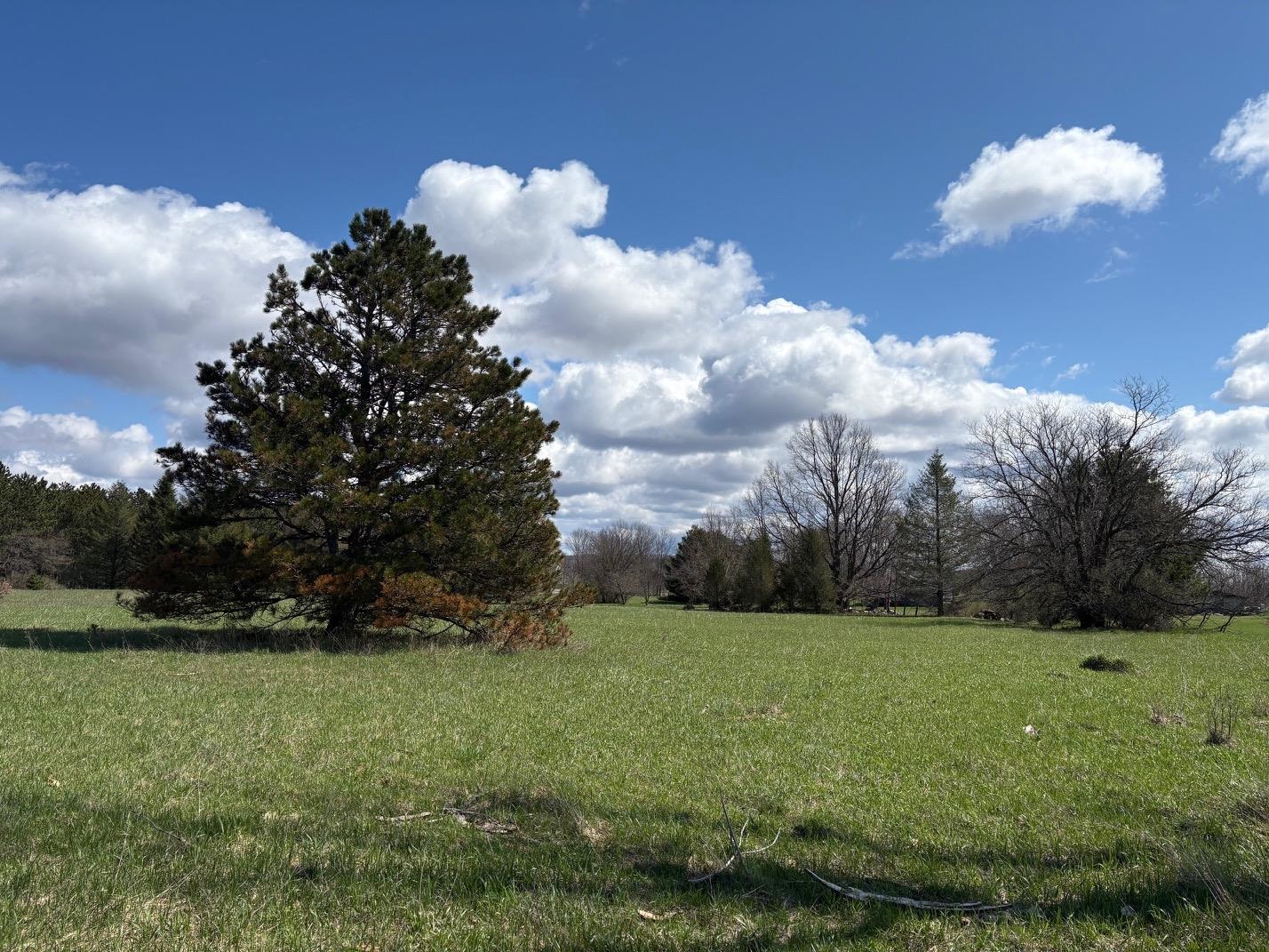 V/L Spruce Ridge, Bear Lake, MI, 49614