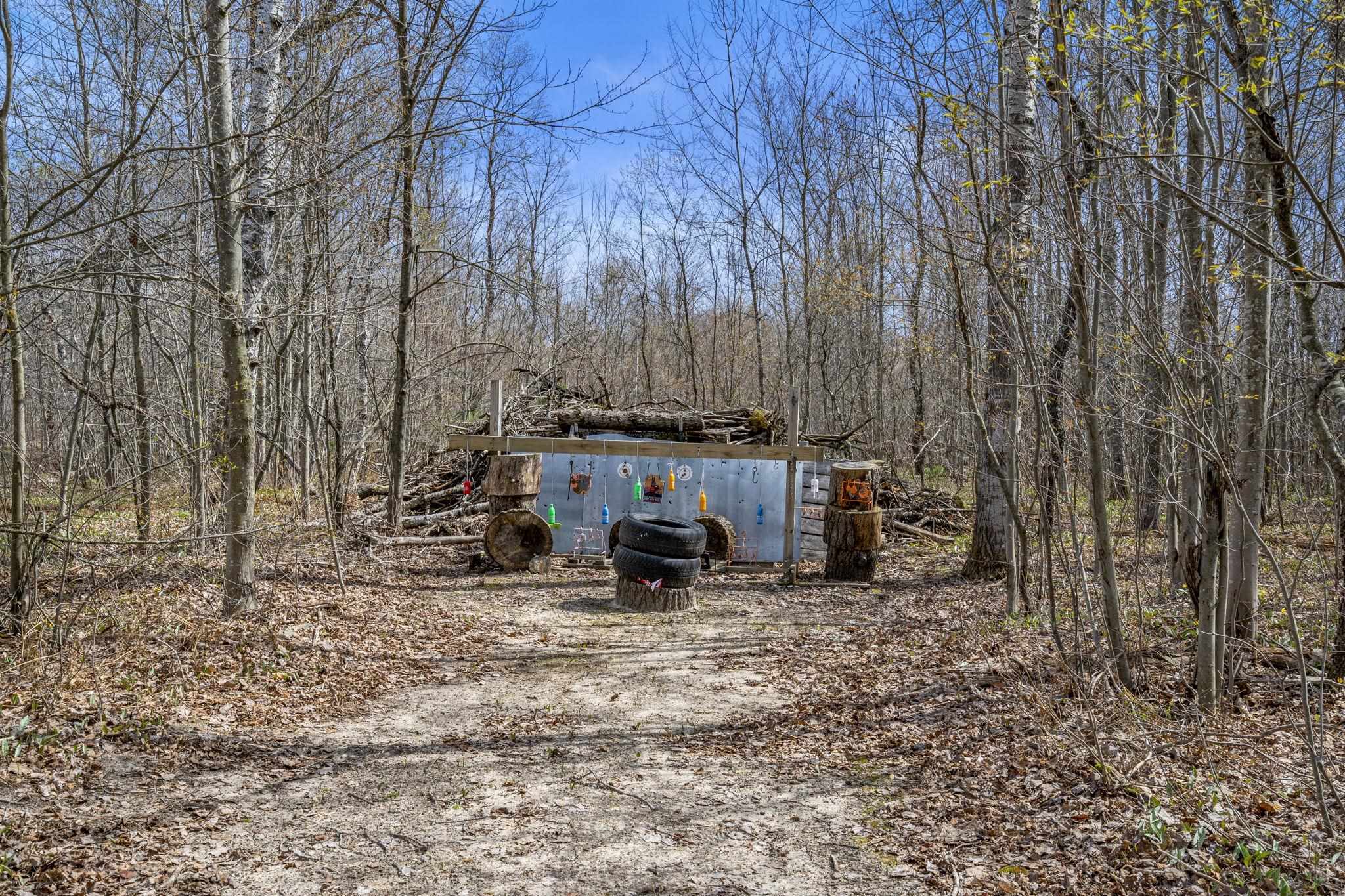 5819 NE Starvation Lake Road, Kalkaska, MI, 49659