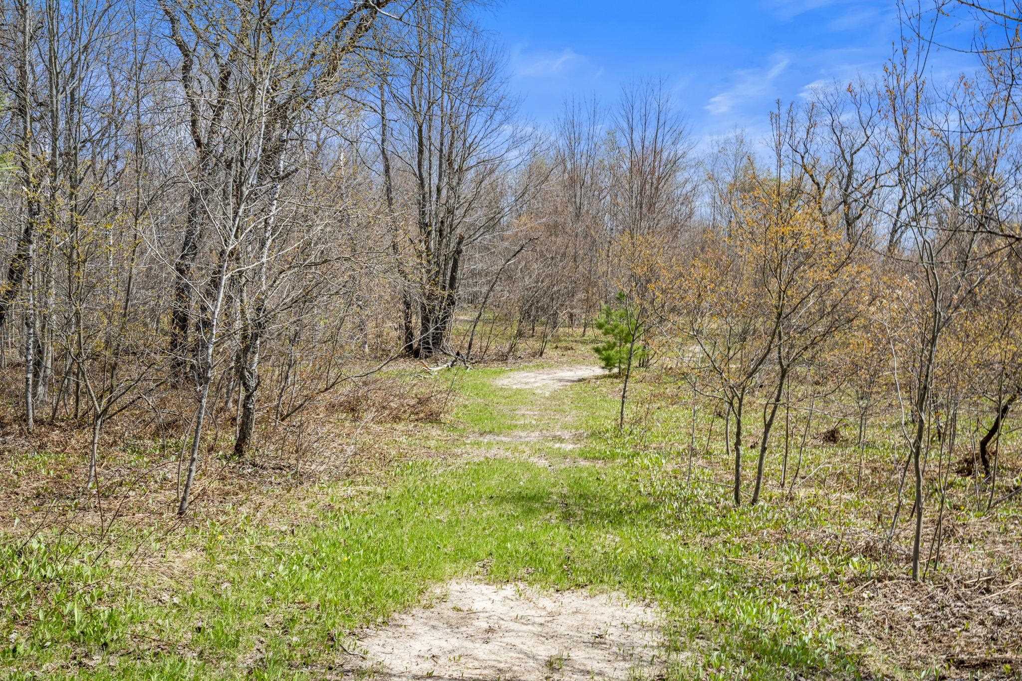 5819 NE Starvation Lake Road, Kalkaska, MI, 49659